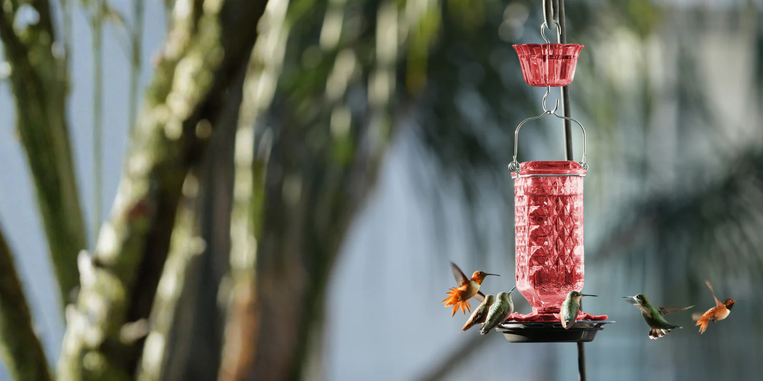 Bring Your Garden to Life