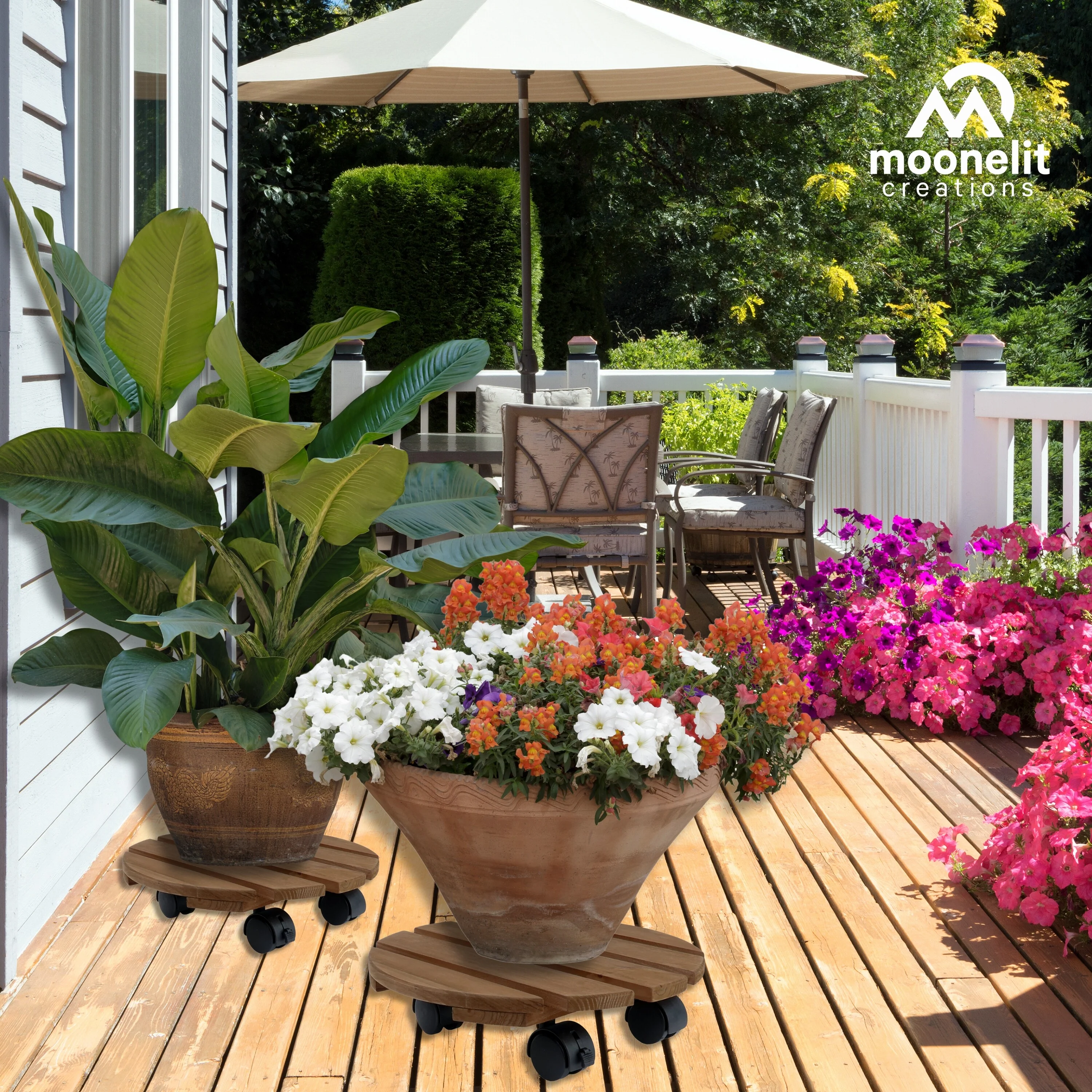 2 Pack Fir Wood 12" Plant Caddy - Image 6