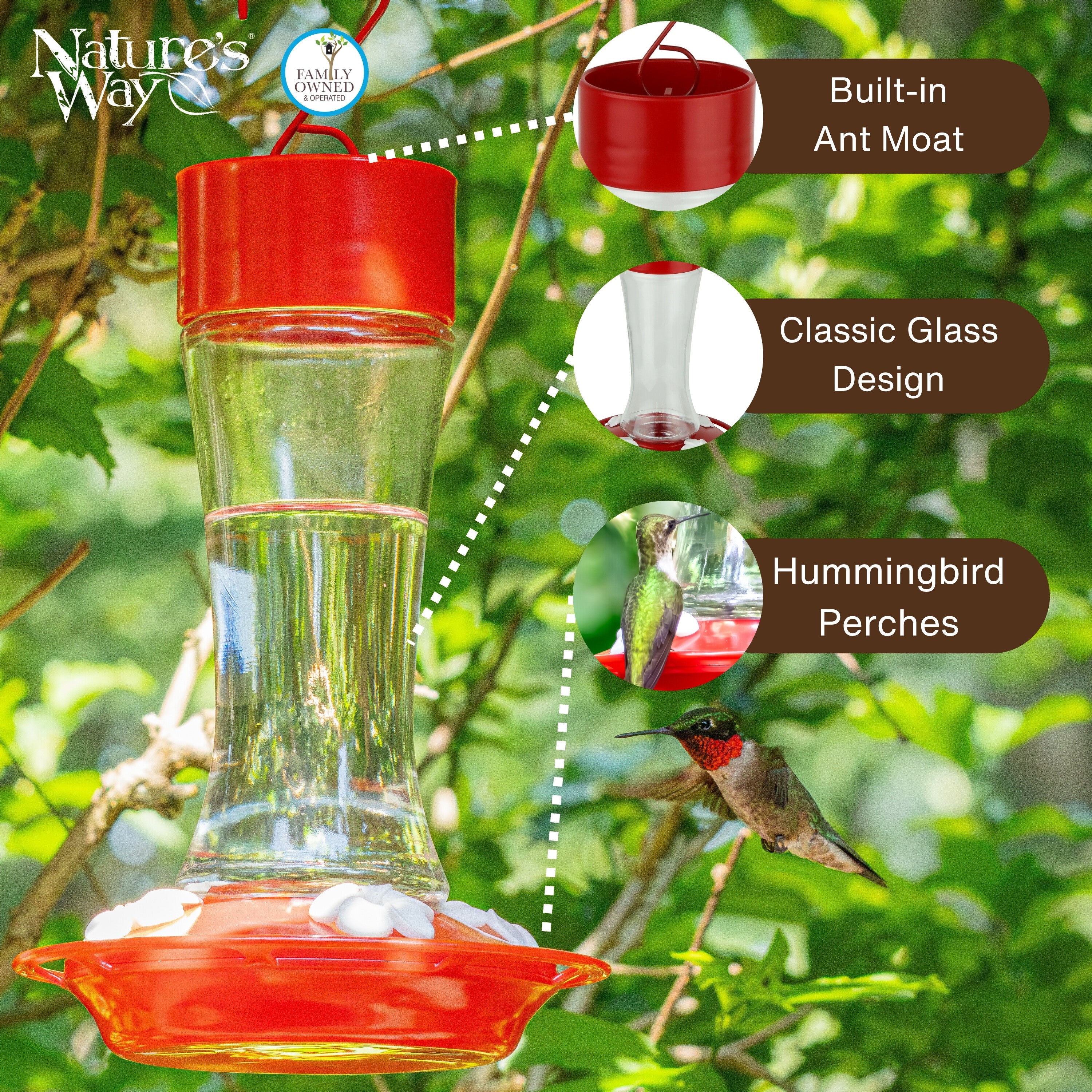 2-Pack Scarlet Silhouette Glass Gravity Hummingbird Feeder - Image 3