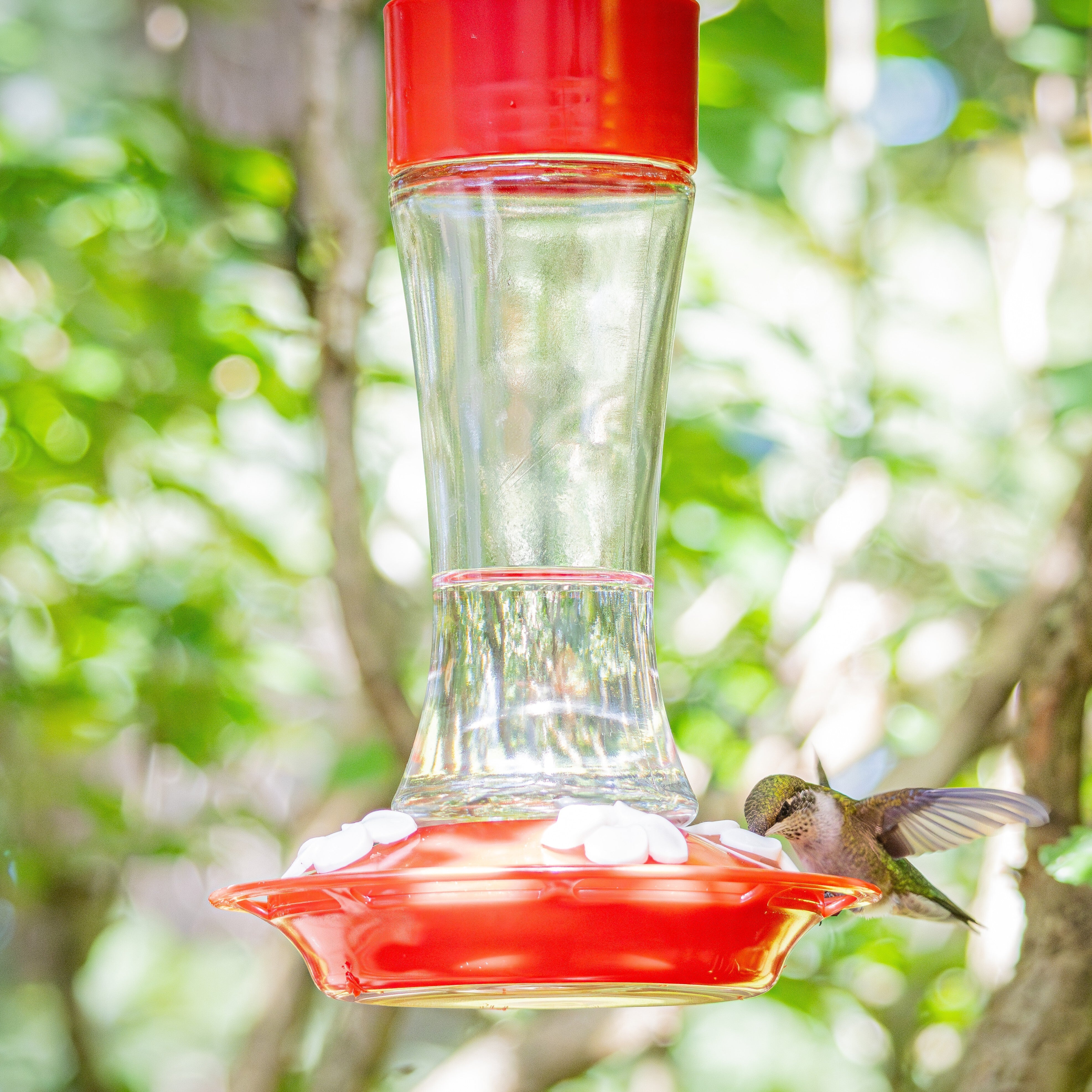 2-Pack Scarlet Silhouette Glass Gravity Hummingbird Feeder - Image 8
