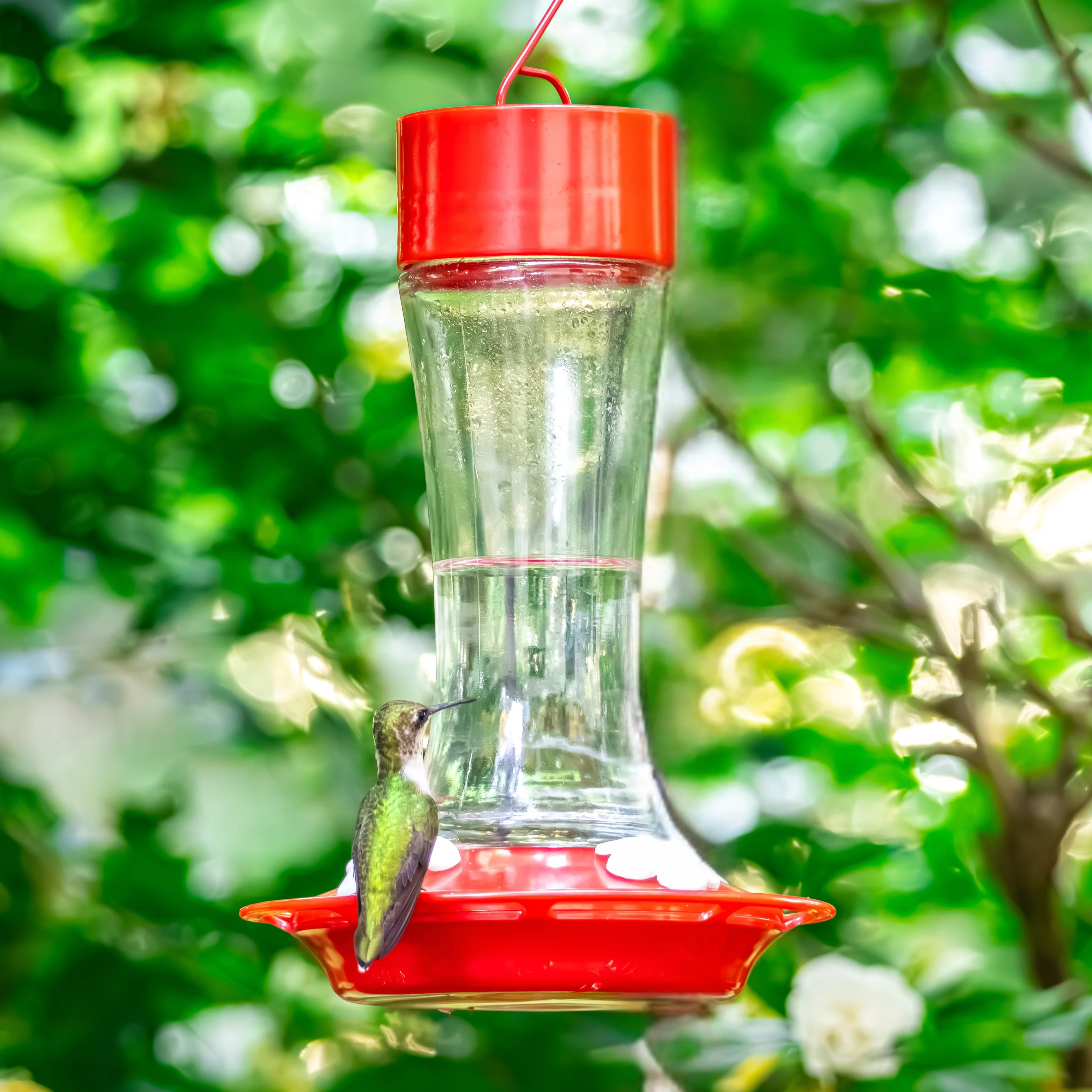 2-Pack Scarlet Silhouette Glass Gravity Hummingbird Feeder - Image 9