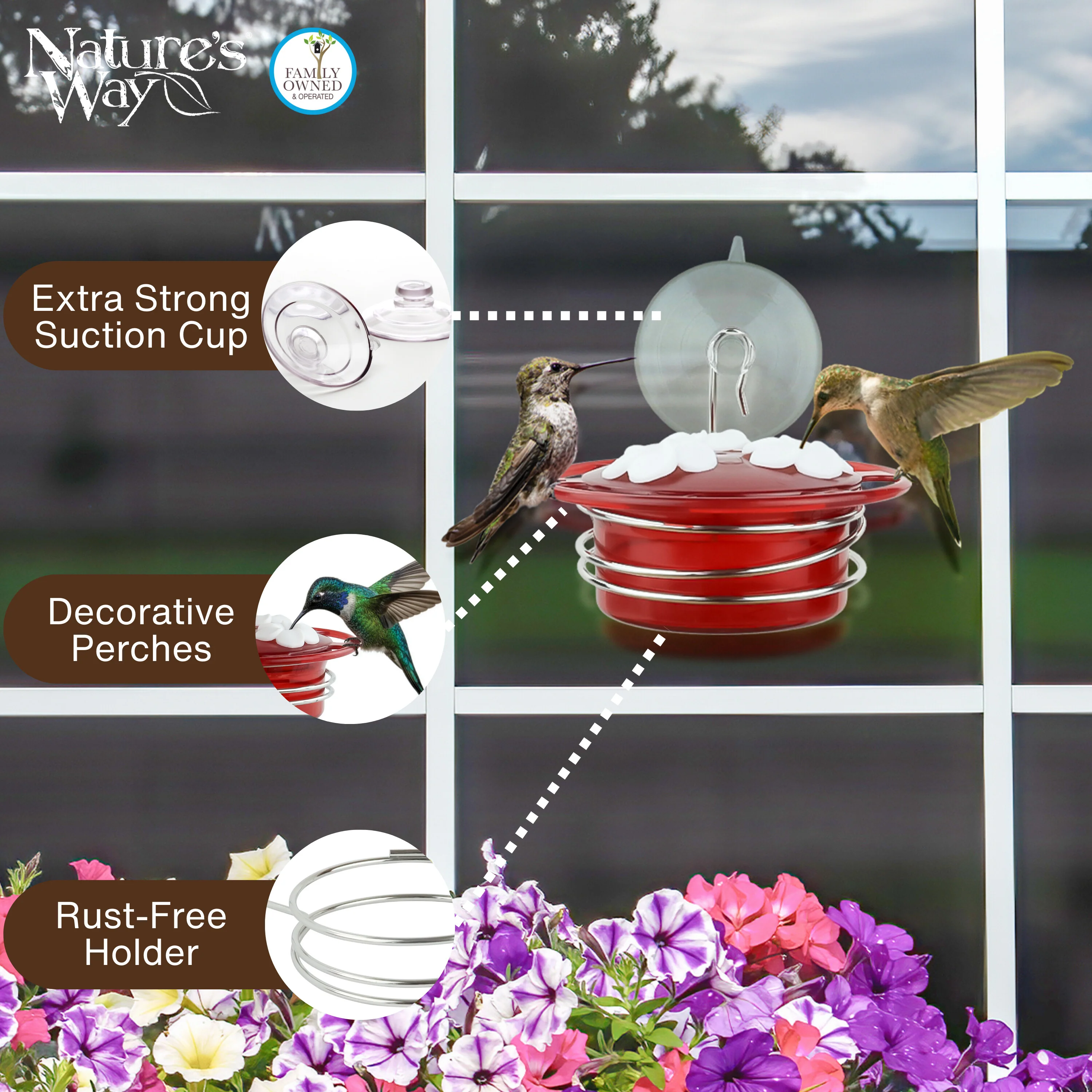 3-Pack Petite Plastic Window and Handheld Hummingbird Feeder - Image 3