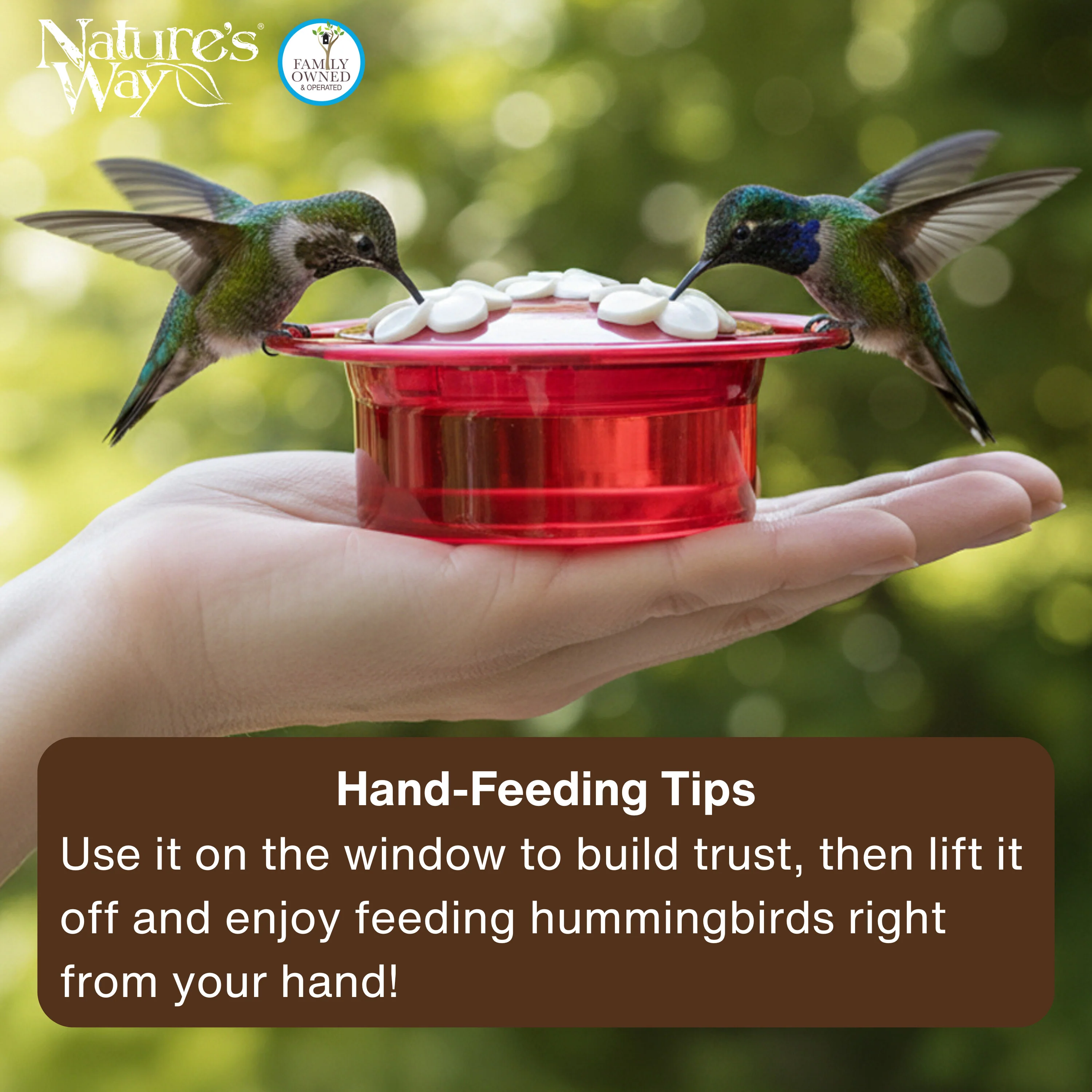 3-Pack Petite Plastic Window and Handheld Hummingbird Feeder - Image 6