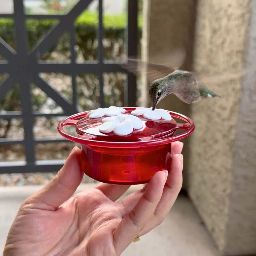 3-Pack Petite Plastic Window and Handheld Hummingbird Feeder - Image 9