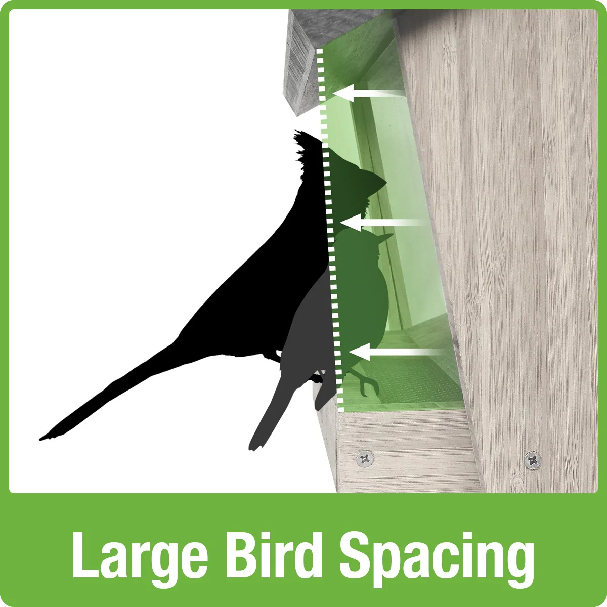 3 QT Hopper Feeder w/2 Suet Cages - Image 4
