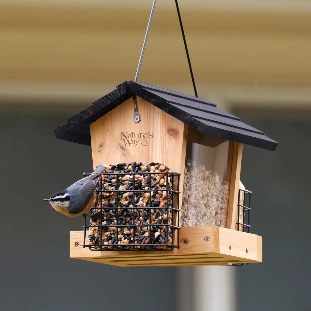 3 QT Hopper Feeder w/ 2 Suet Cages - Image 10