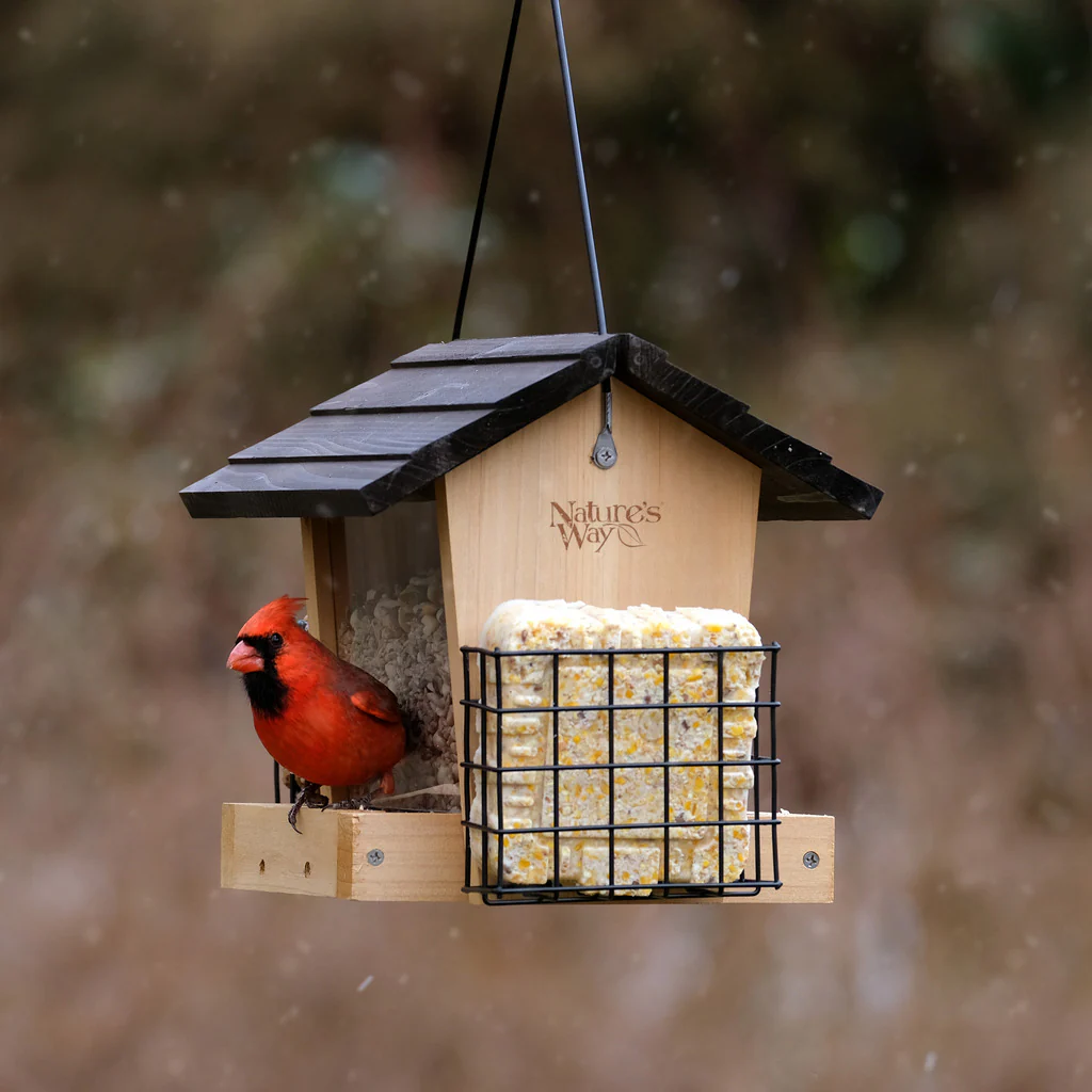 3 QT Hopper Feeder w/ 2 Suet Cages - Image 9