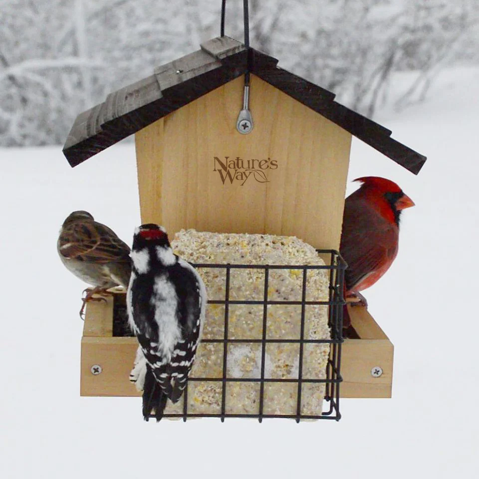 Cedar 3 QT Hopper Feeder w/ 2 Suet Cages - Image 10