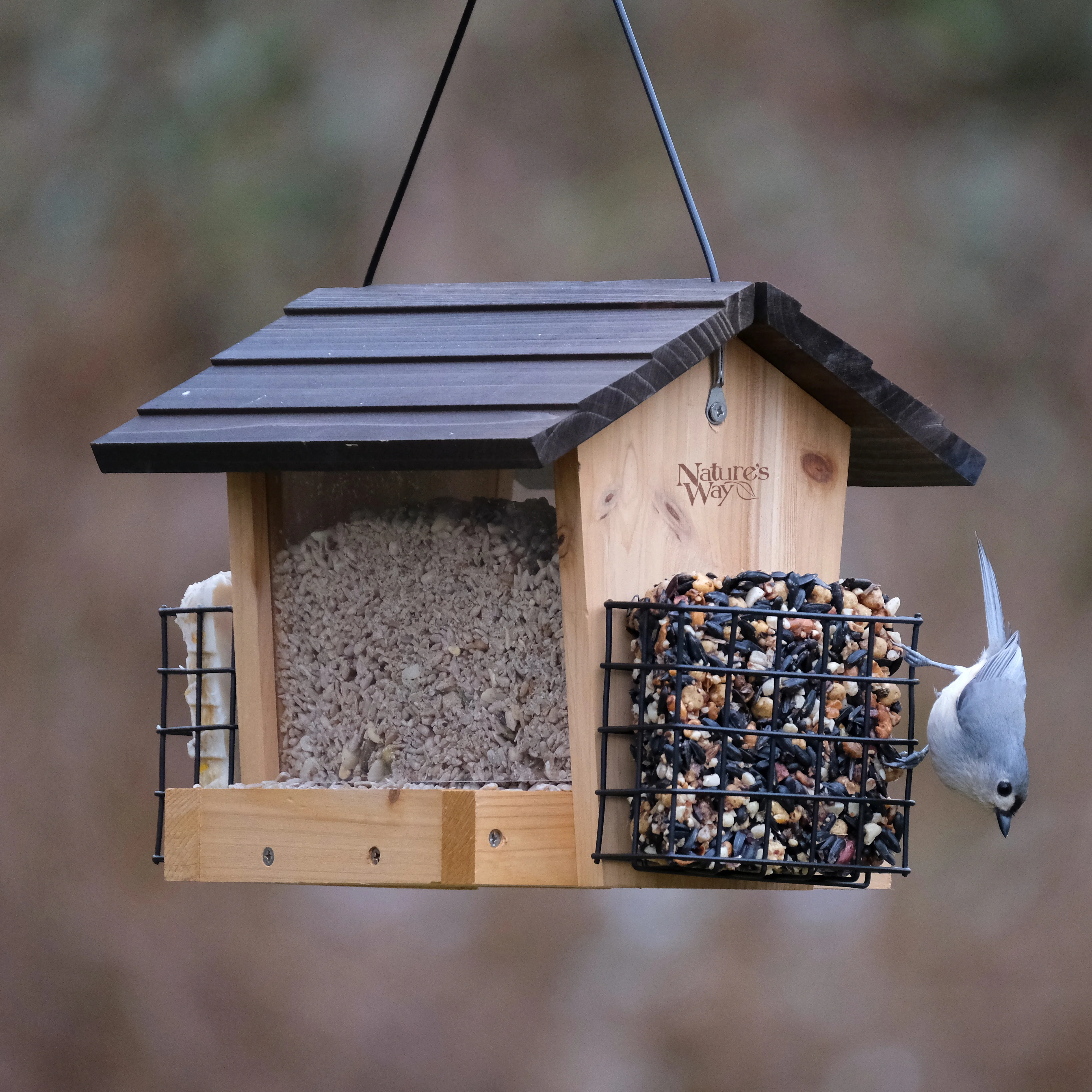 Cedar 3 QT Hopper Feeder w/ 2 Suet Cages - Image 8