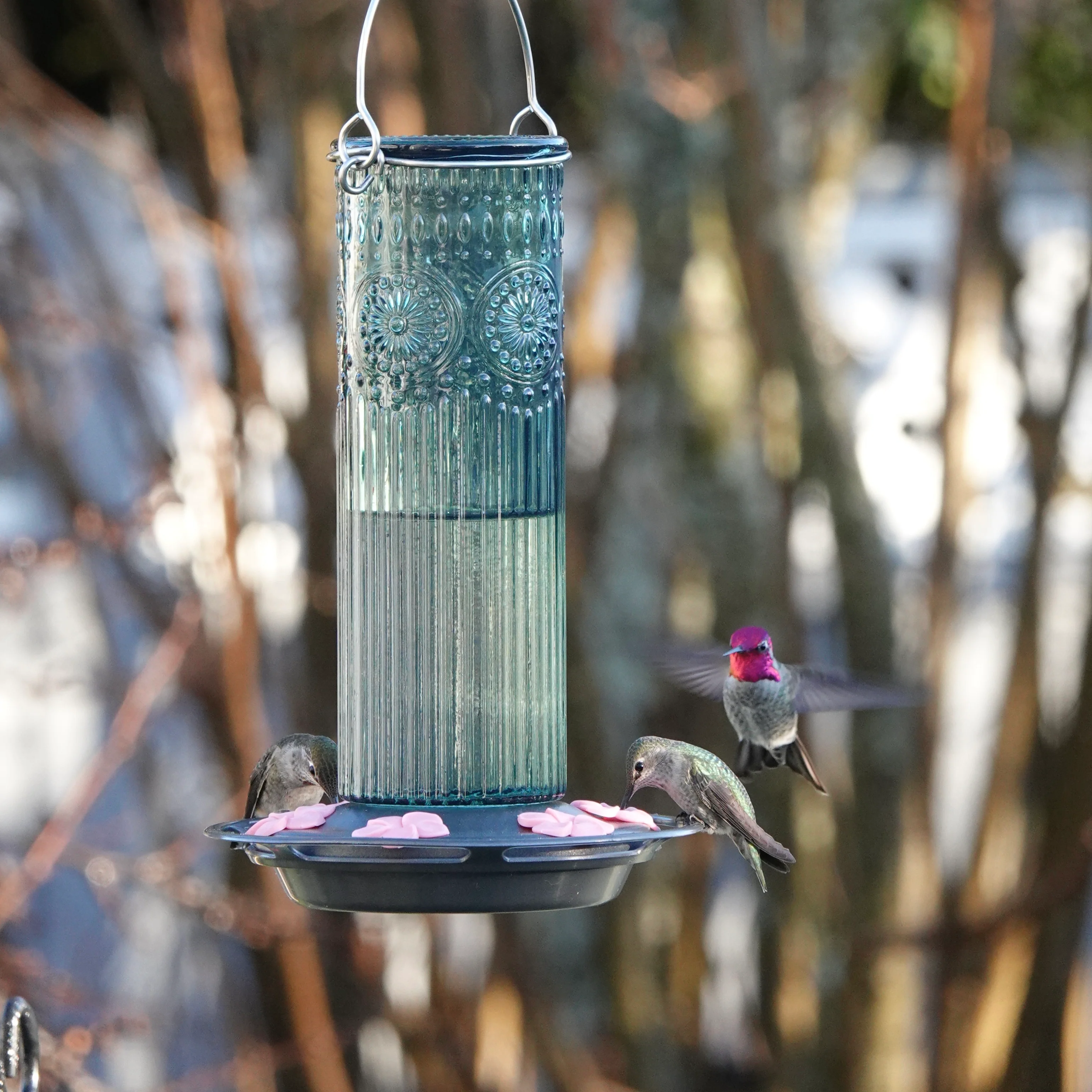 Antique Teal Glass Gravity Hummingbird Feeder - Image 10