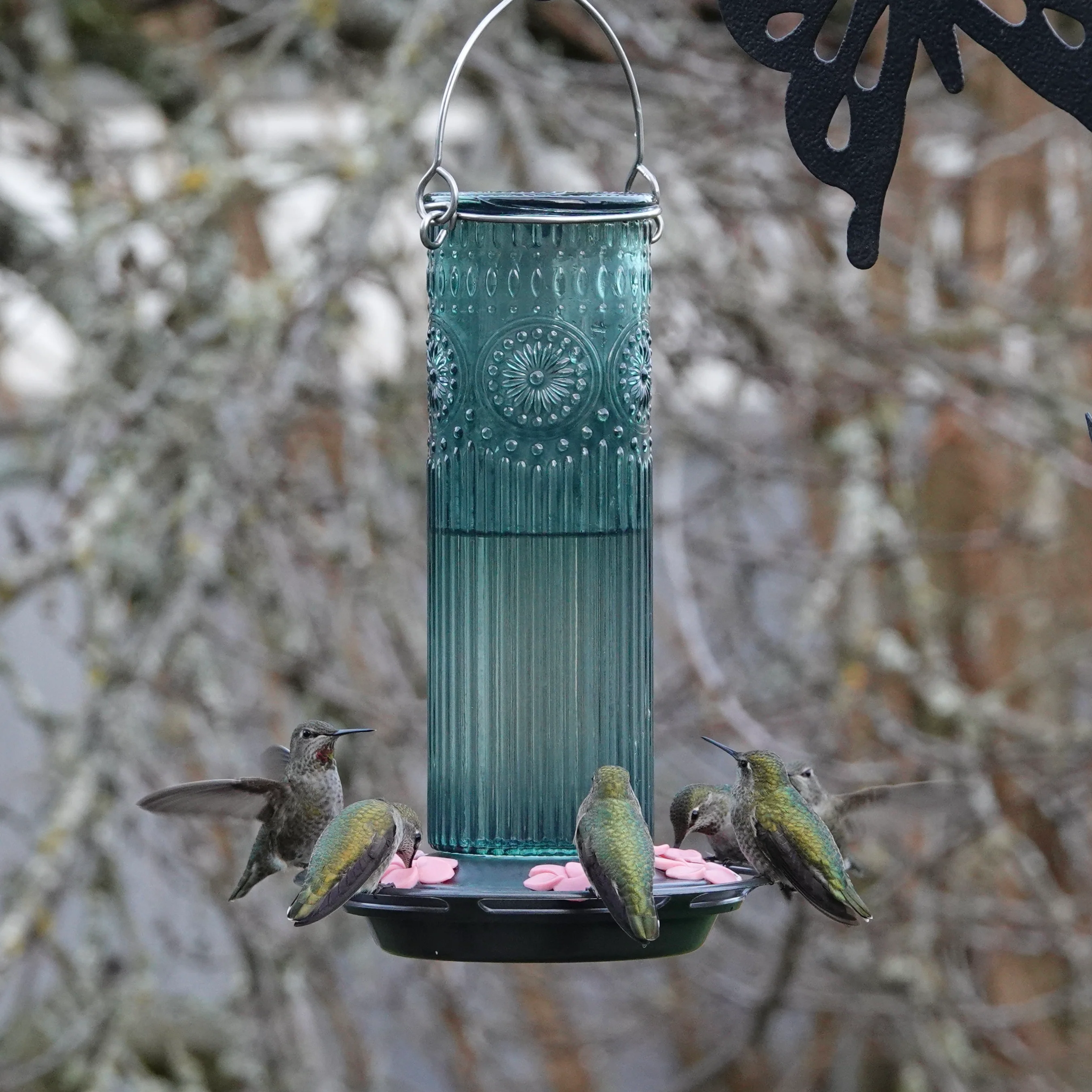 Antique Teal Glass Gravity Hummingbird Feeder - Image 8