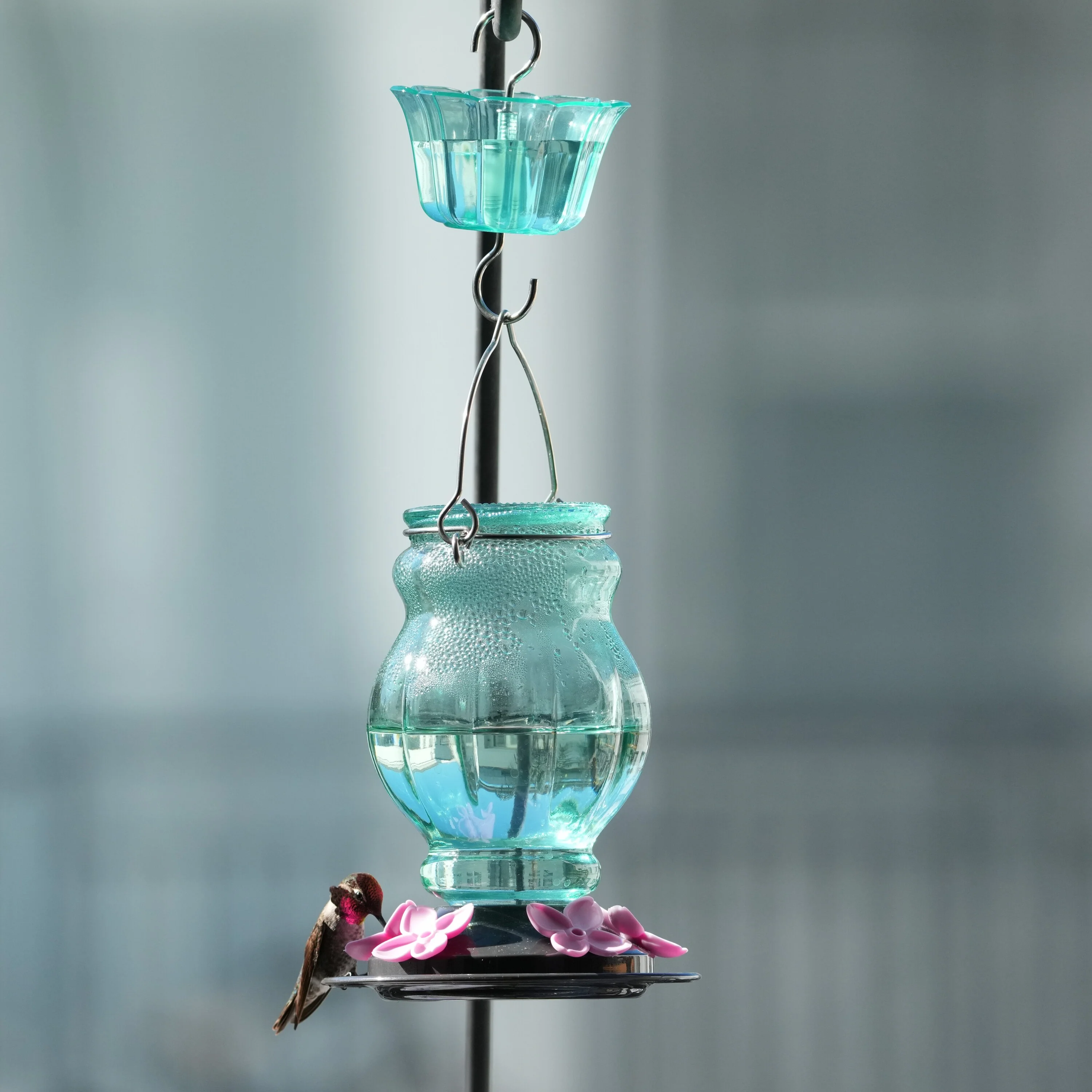 Aqua Visions Antique Hummingbird Gravity Feeder