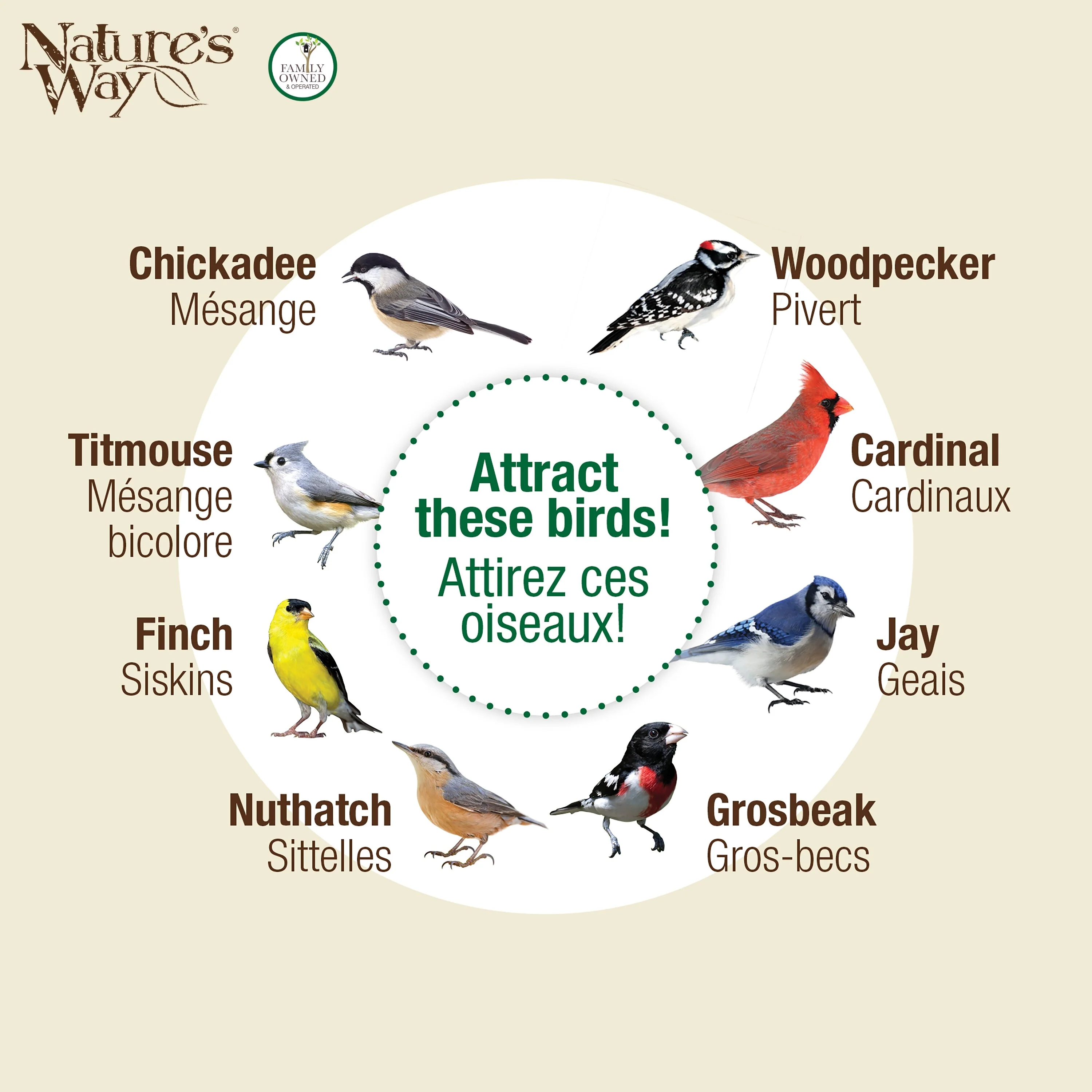 Beloved Bronze Dual-Chamber Metal Mesh Bird Feeder - Image 5