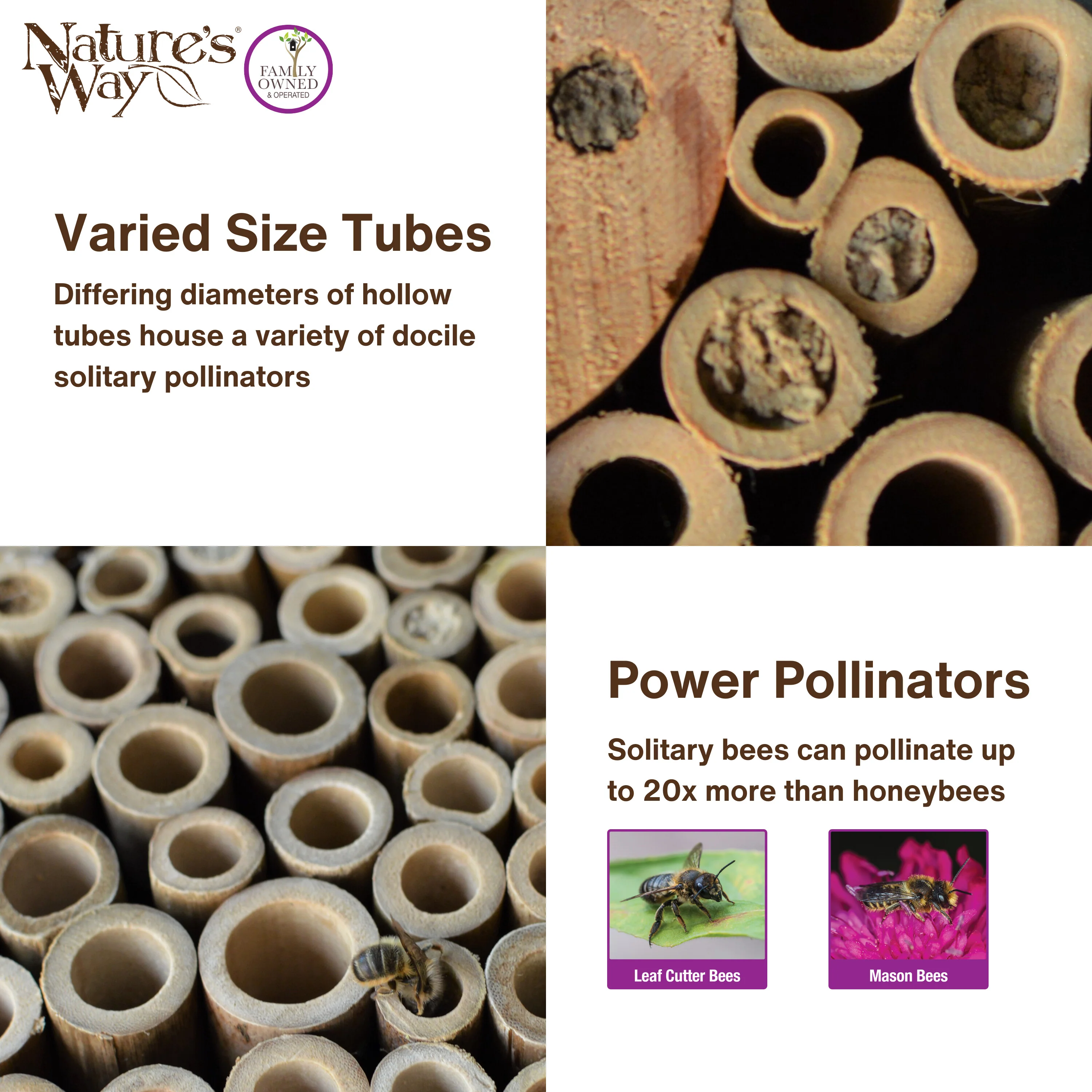 Better Gardens Pollinator House - Teal - Image 4