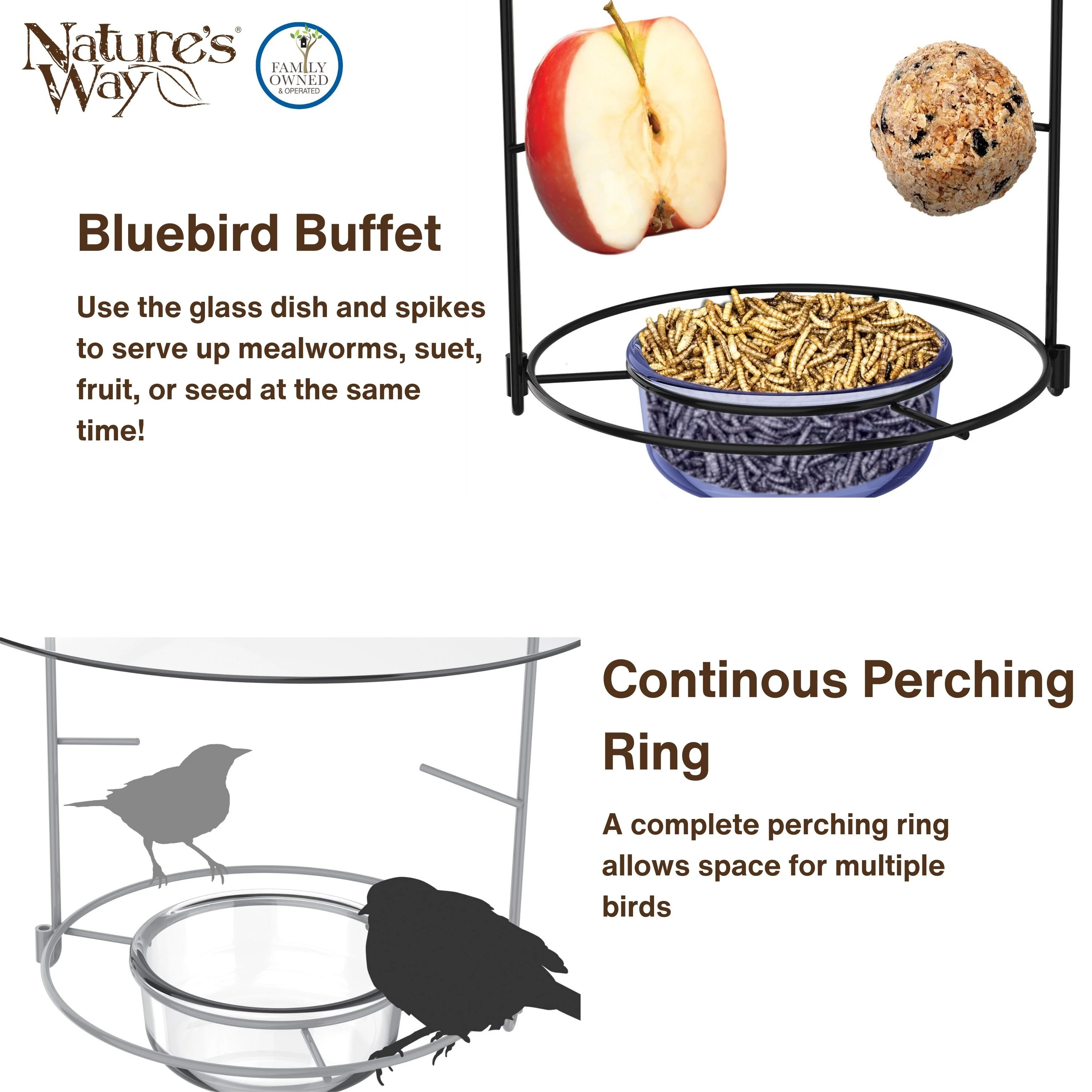 Bluebird Buffet Metal and Glass Bird Feeder with Protective Baffle - Image 4
