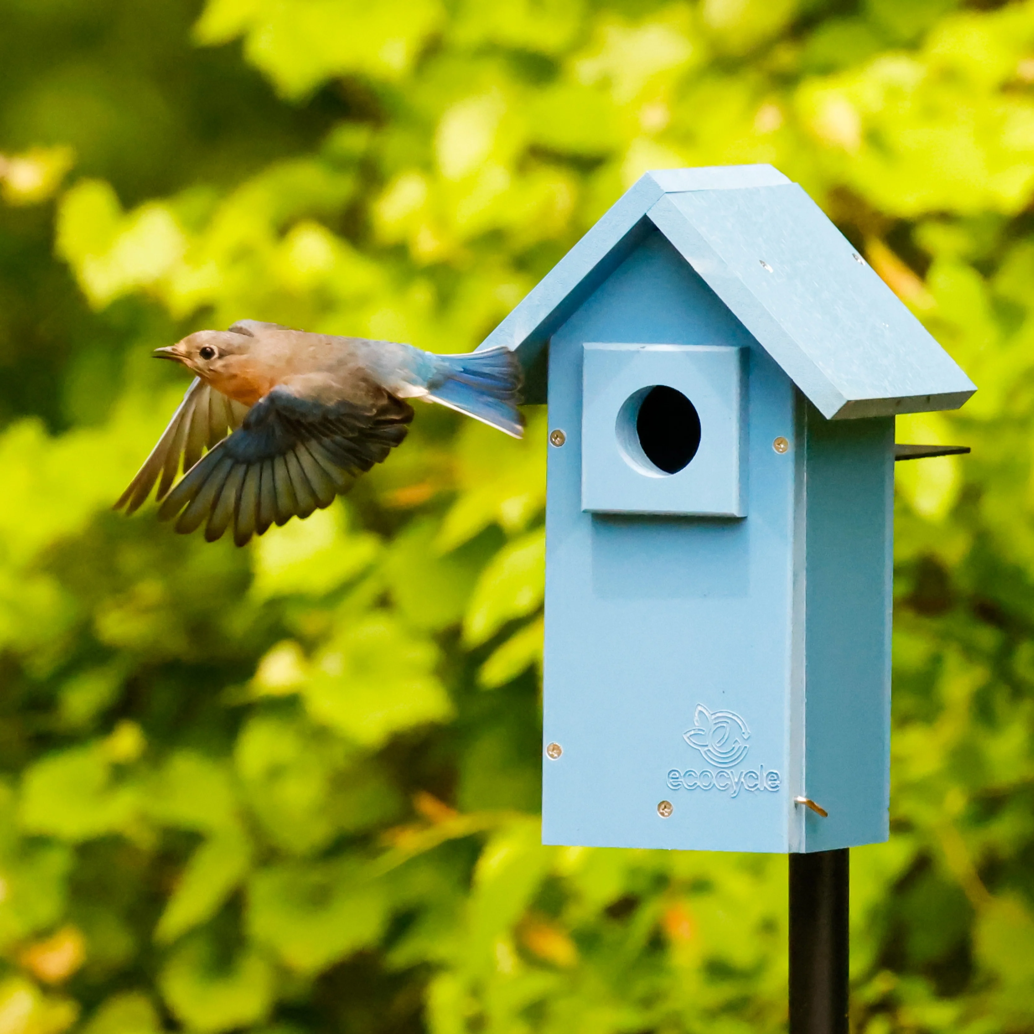 Bluebird Bungalow Recycled Plastic Bird House - Image 6