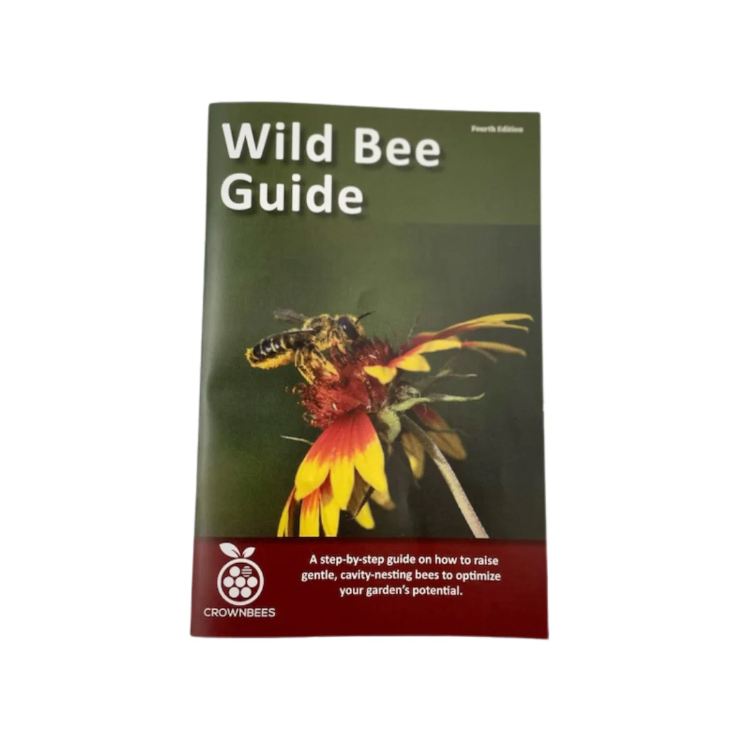 Cabana Bee House & Complete Kit with Bee Certificate - Image 10