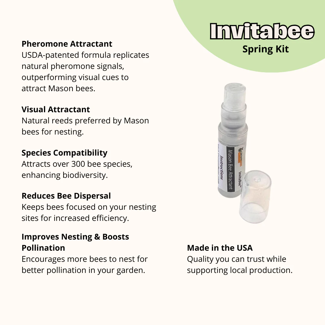 Cabana Bee House & Complete Kit with Bee Certificate - Image 15