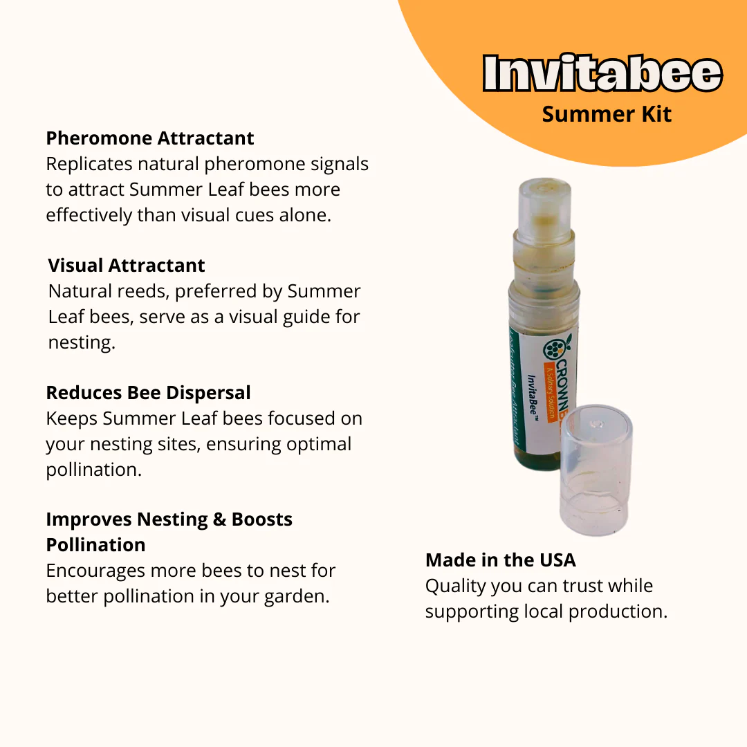 Cabana Bee House & Complete Kit with Bee Certificate - Image 17