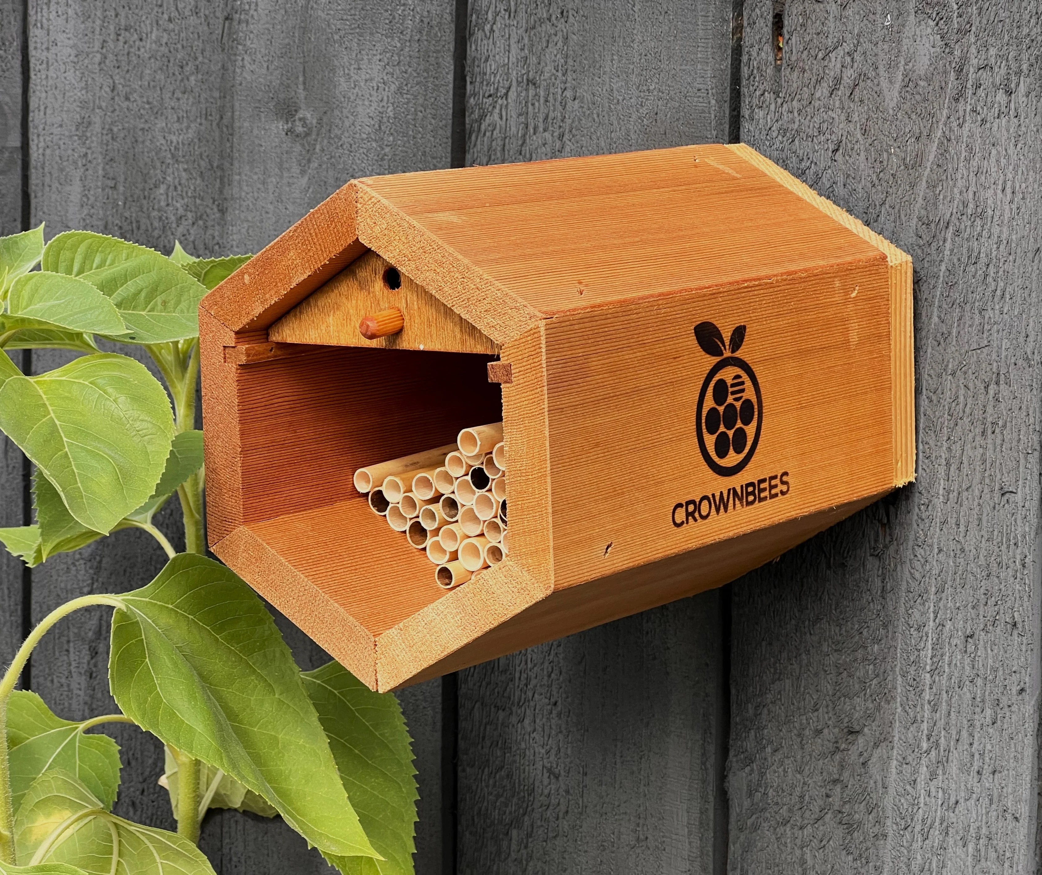 Cabana Bee House & Complete Kit with Bee Certificate - Image 2