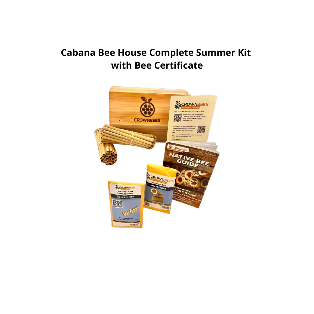 Cabana Bee House & Complete Kit with Bee Certificate - Image 3