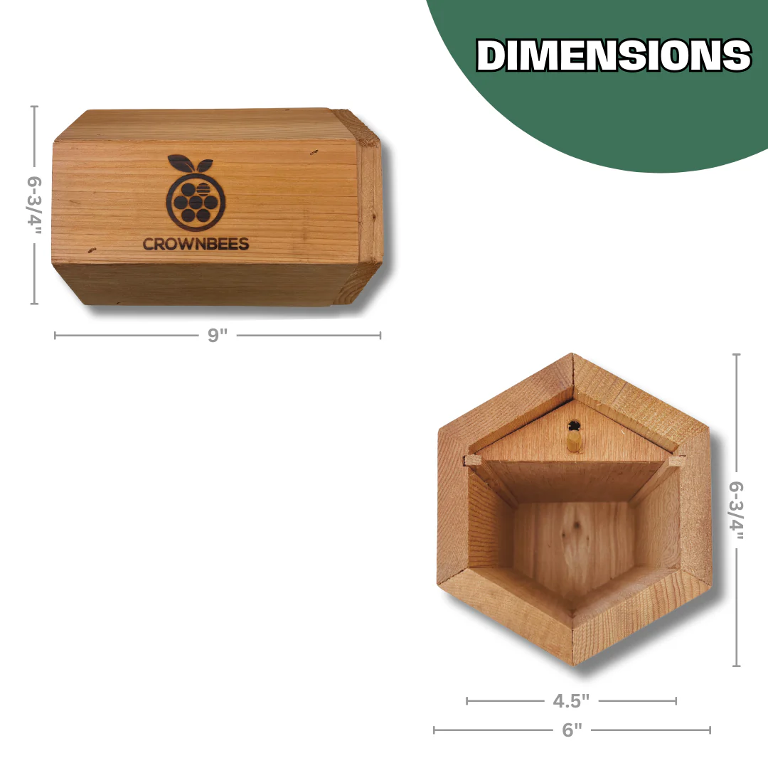 Cabana Bee House & Complete Kit with Bee Certificate - Image 6