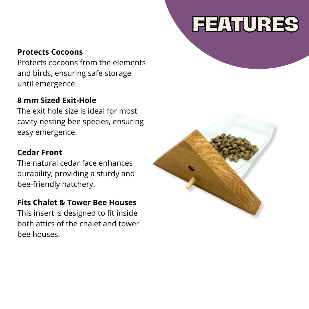 Cabana Bee House & Complete Kit with Bee Certificate - Image 8