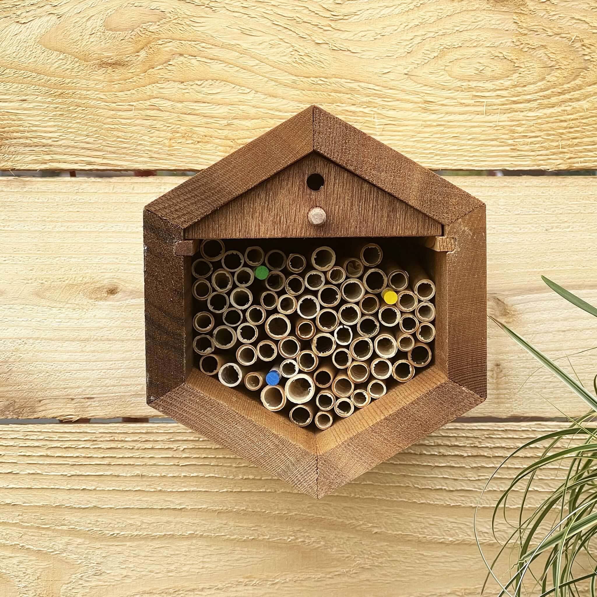 Cabana Bee House - Small Hex - Image 2