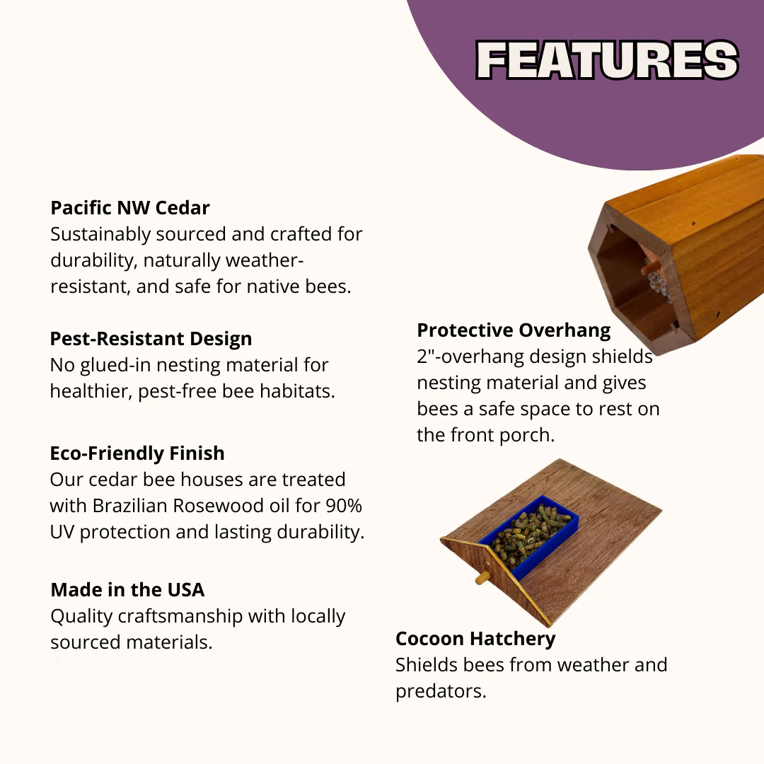 Cabana Bee House - Small Hex - Image 3