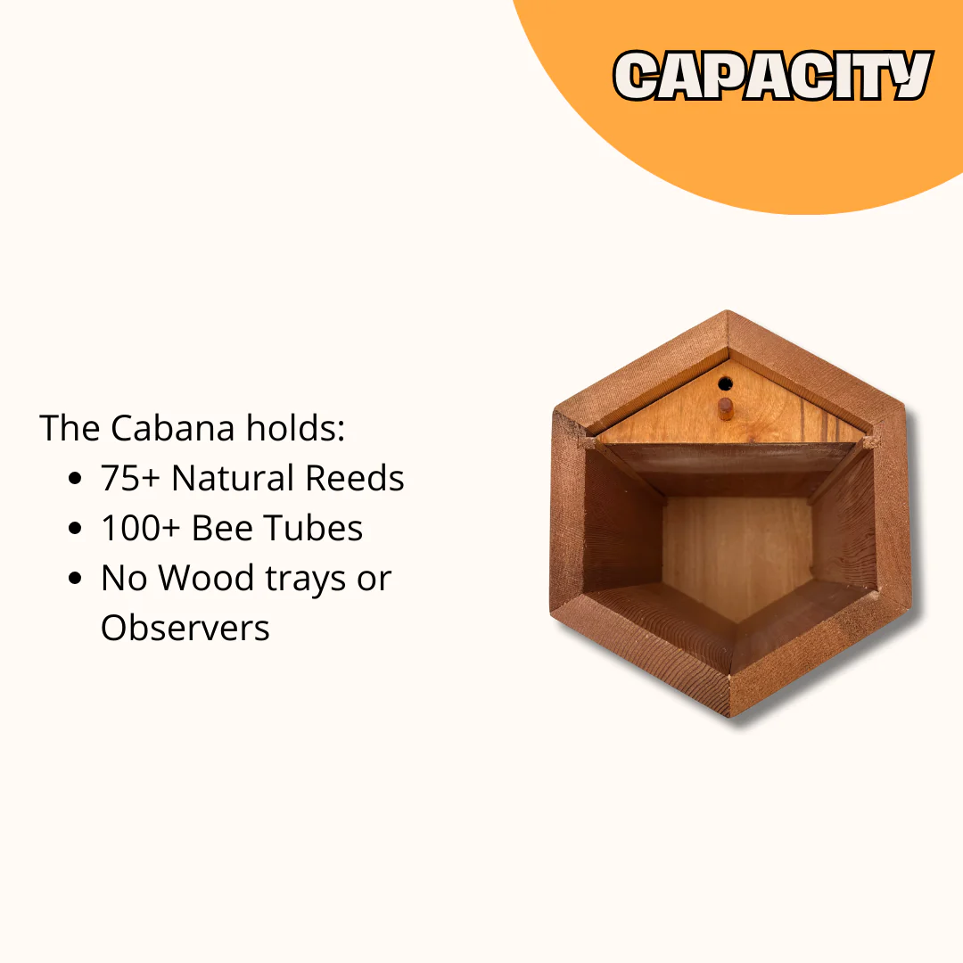 Cabana Bee House - Small Hex - Image 6