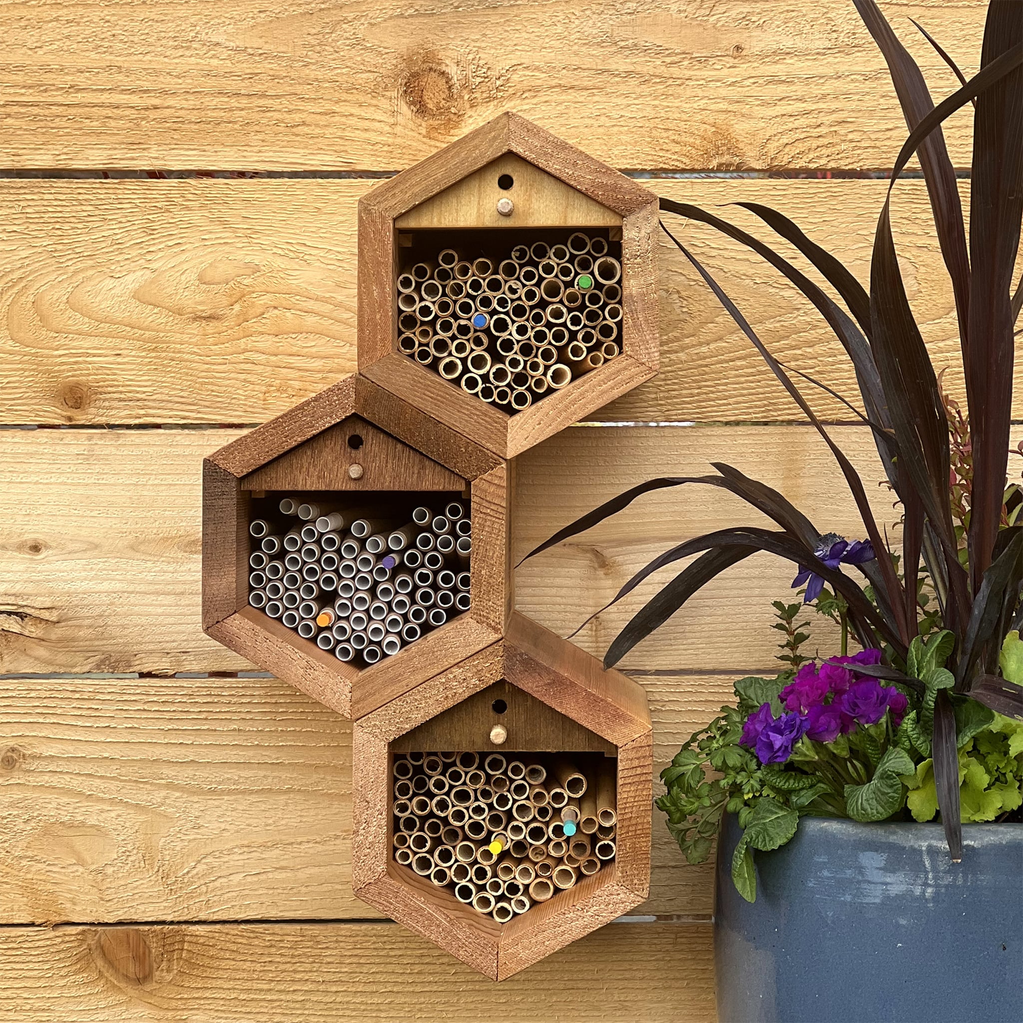 Cabana Bee House - Small Hex - Image 7