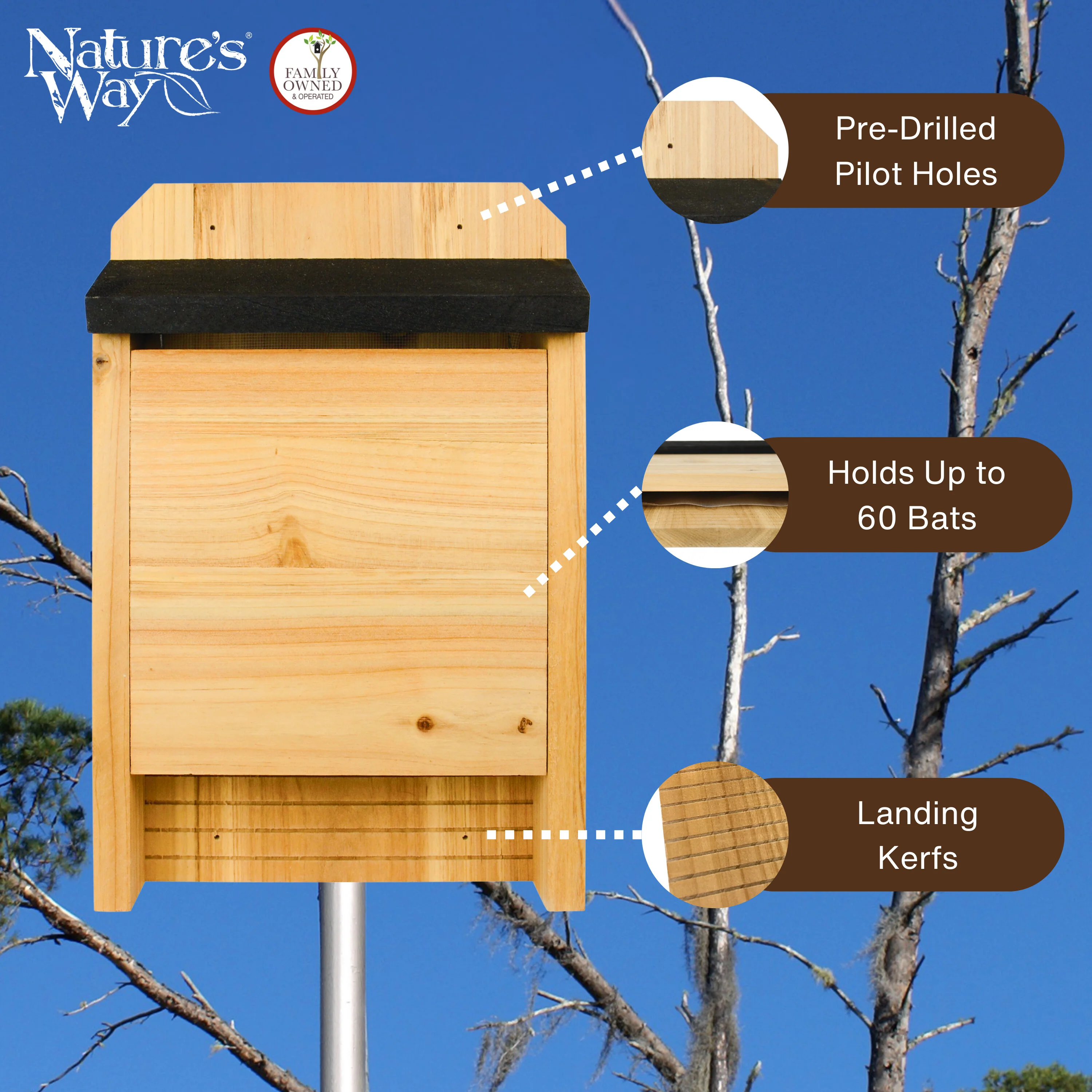 Cedar Single Chamber Bat House - Image 3