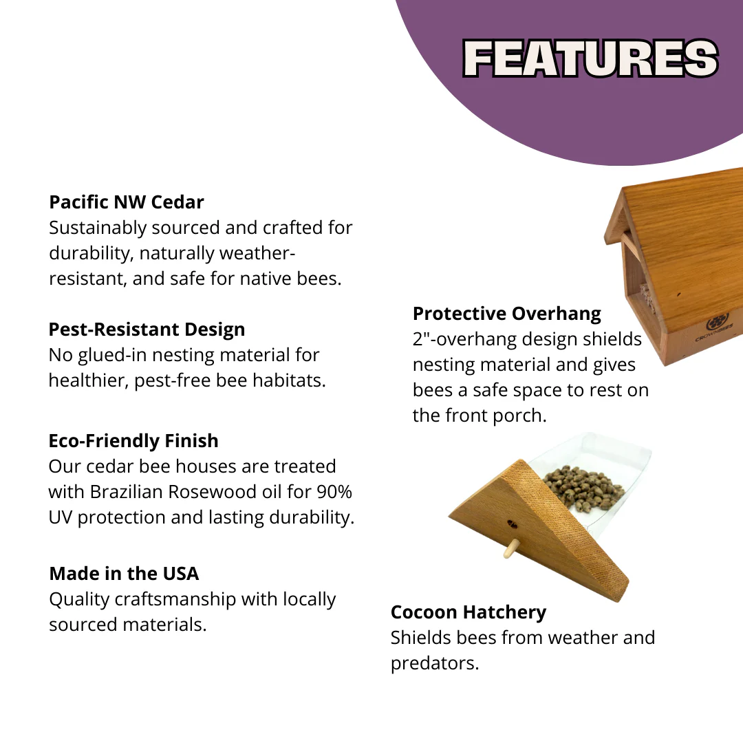 Chalet Bee House & Complete Kit including Bee Certificate - Image 2