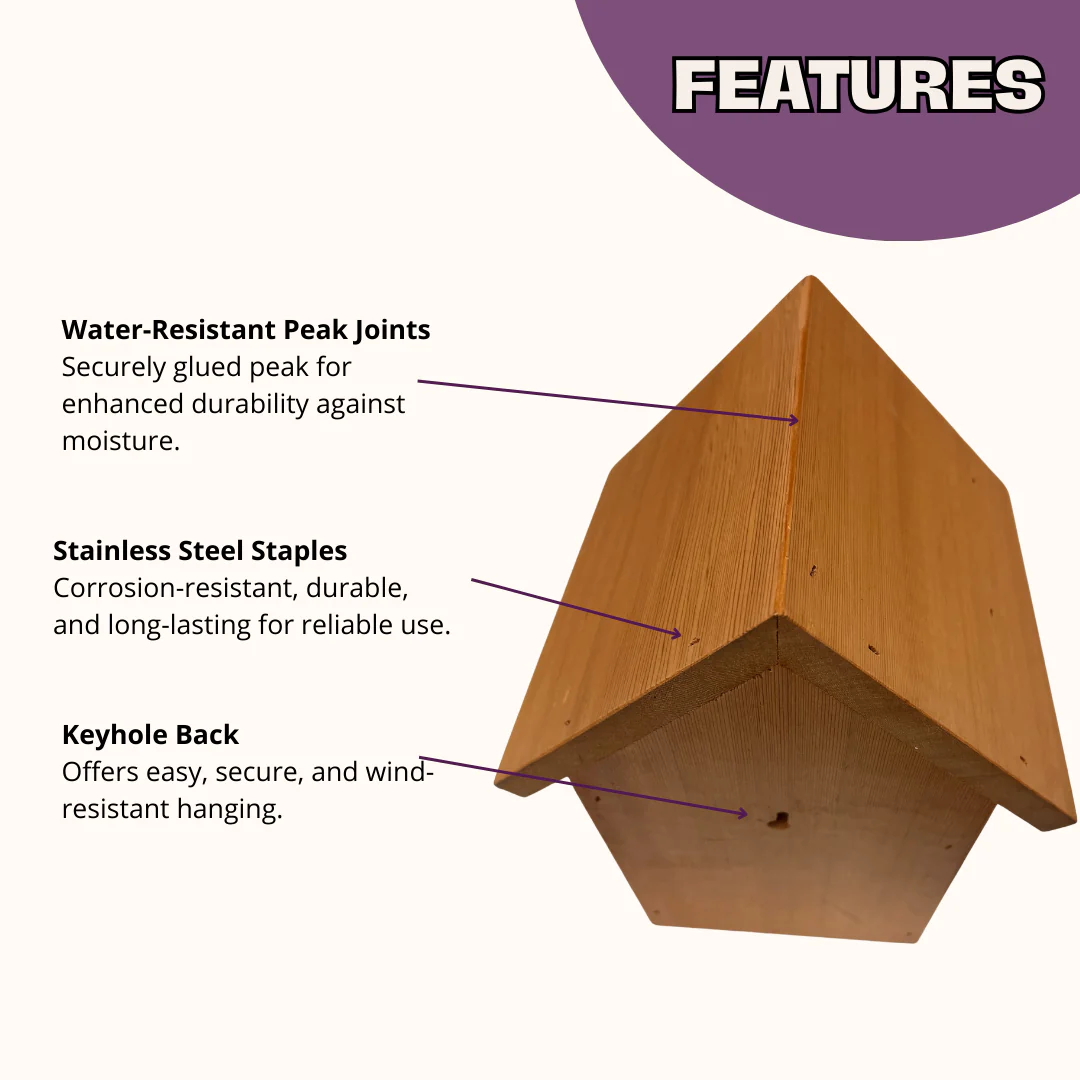 Chalet Bee House & Complete Kit including Bee Certificate - Image 3