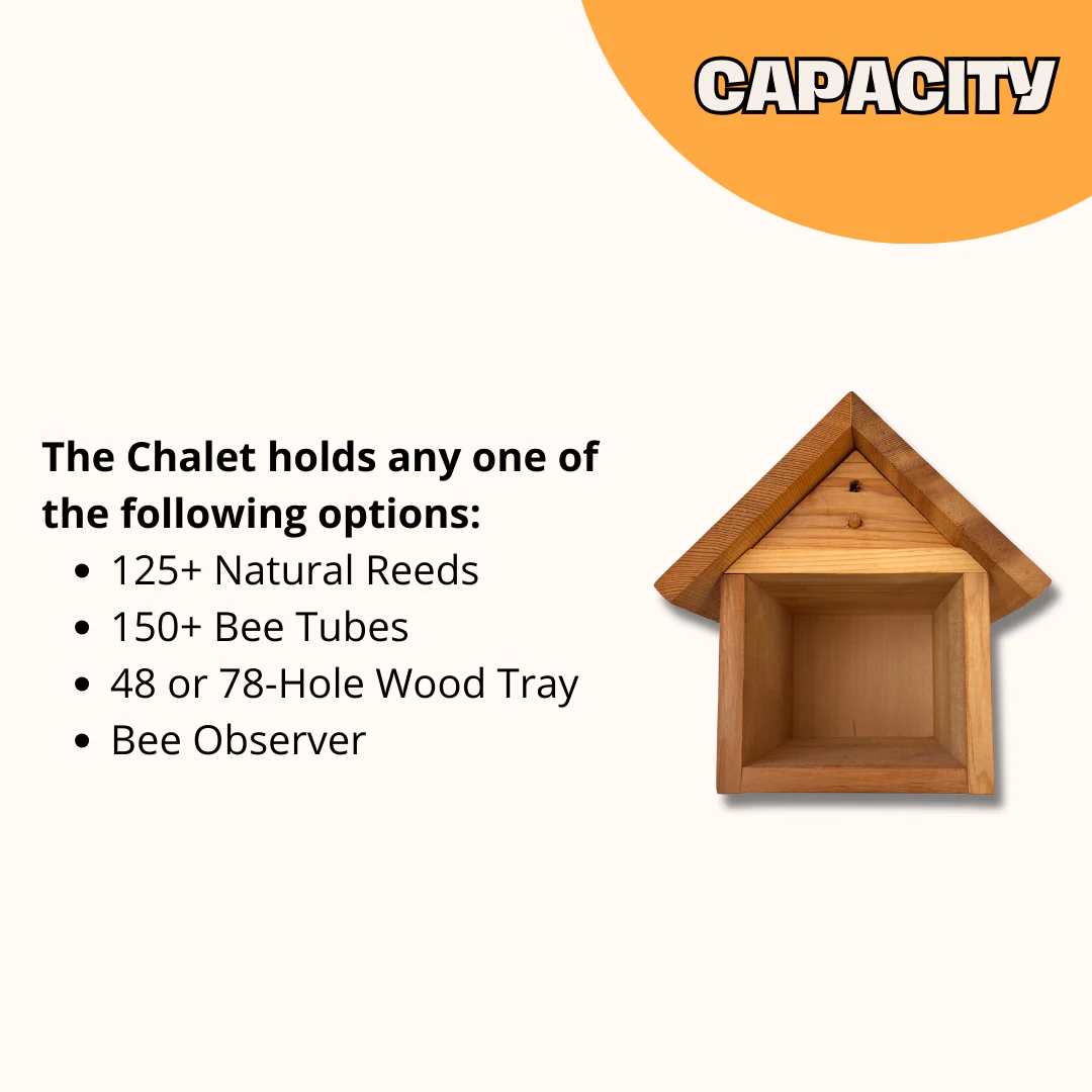 Chalet Cedar Bee House - Image 6
