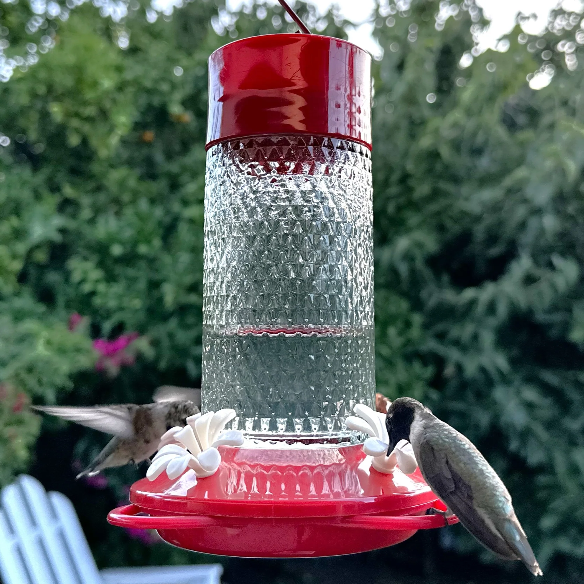 Charming Cherry Glass Gravity Hummingbird Feeder - Image 10