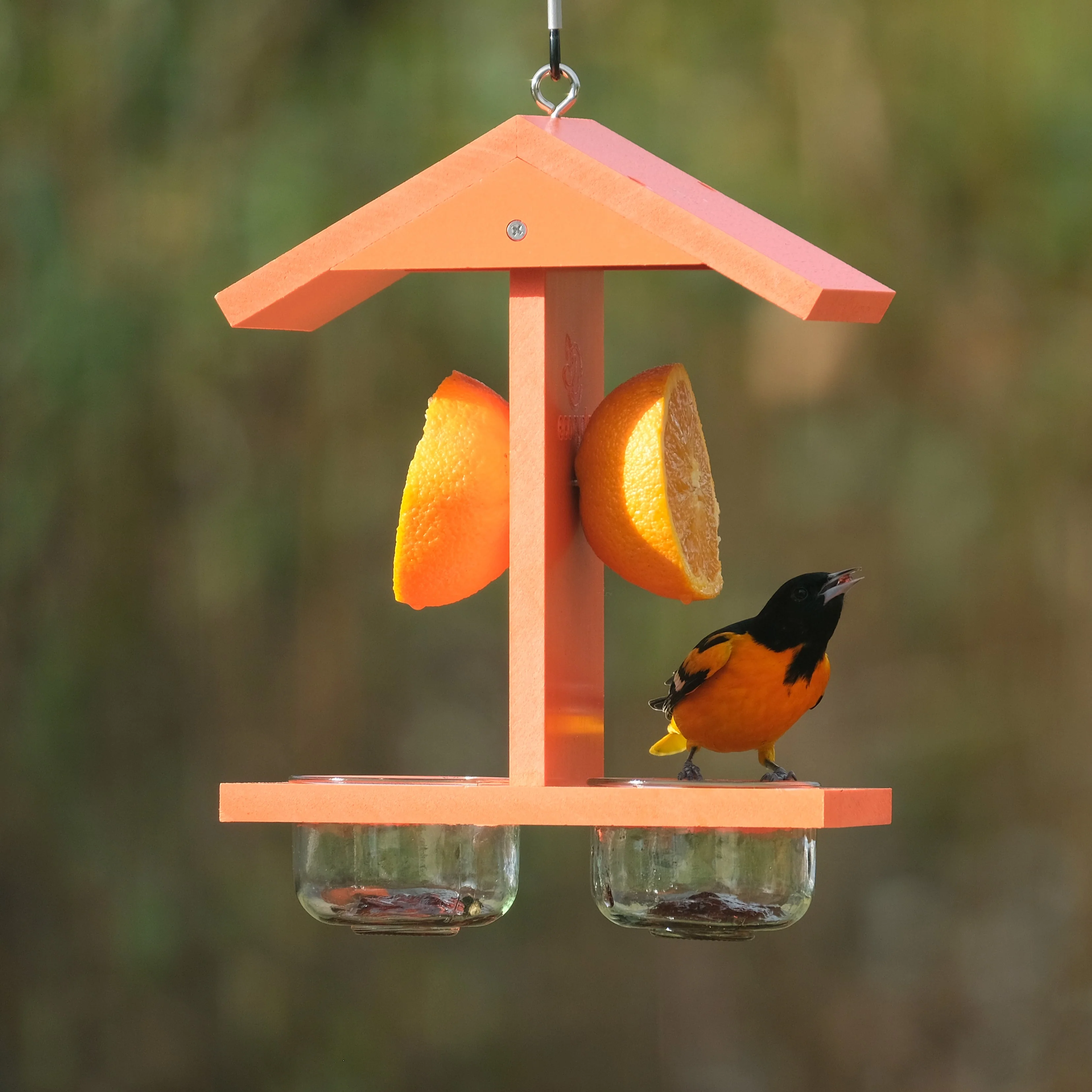 Citrus Sampler Recycled Plastic Orange and Jelly Oriole Bird Feeder - Image 10