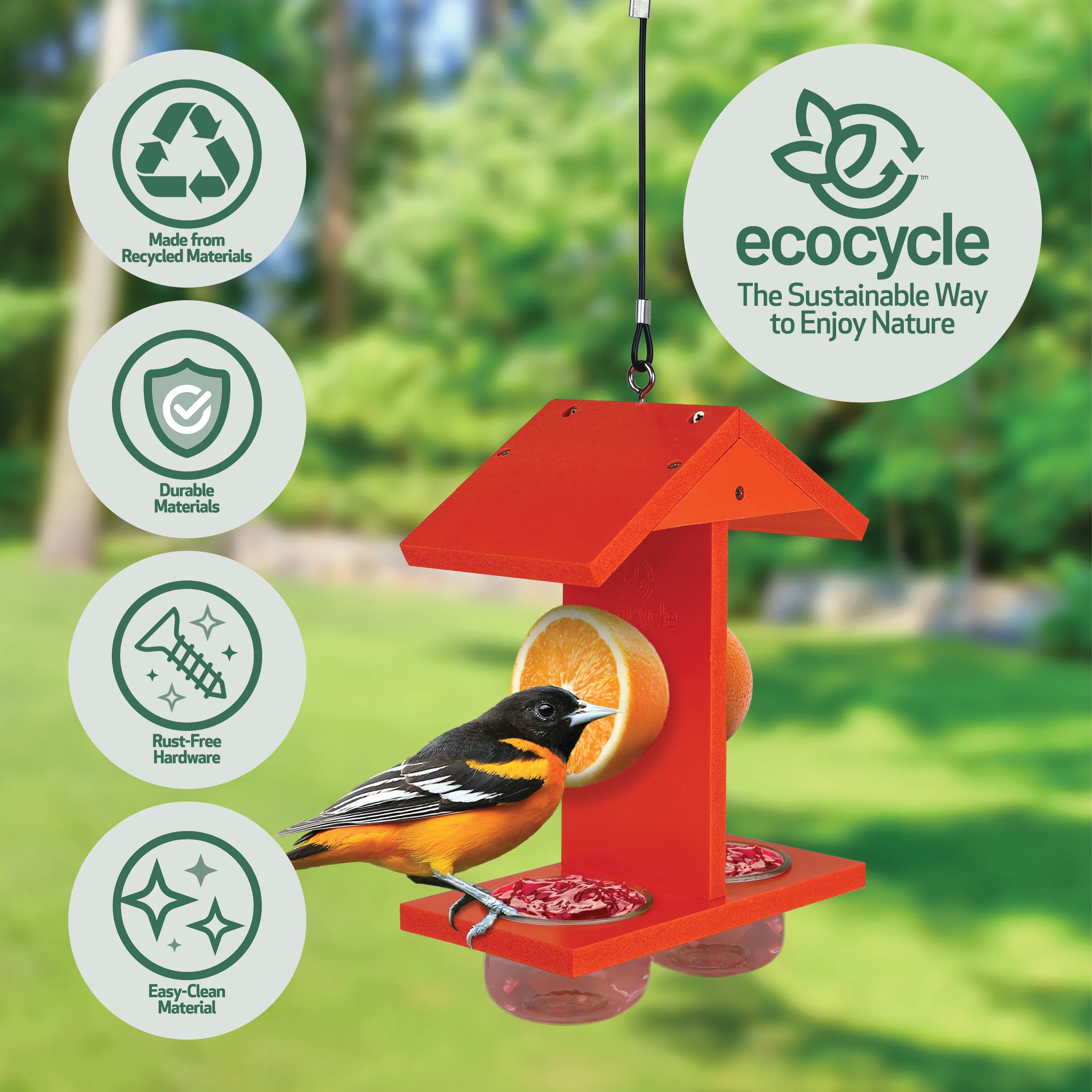 Citrus Sampler Recycled Plastic Orange and Jelly Oriole Bird Feeder - Image 3