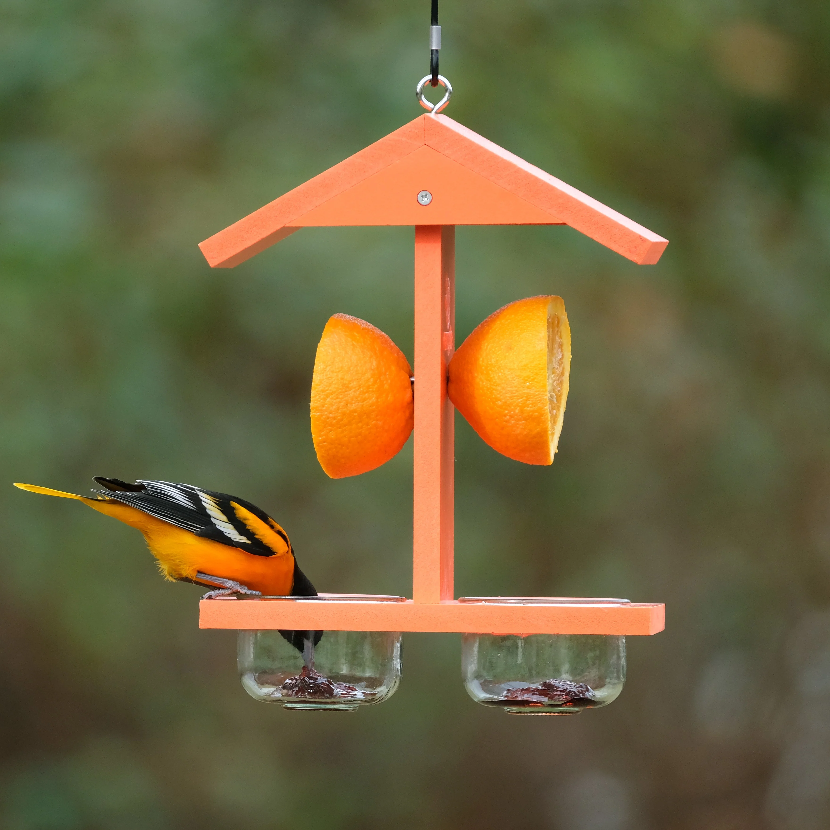 Citrus Sampler Recycled Plastic Orange and Jelly Oriole Bird Feeder - Image 7