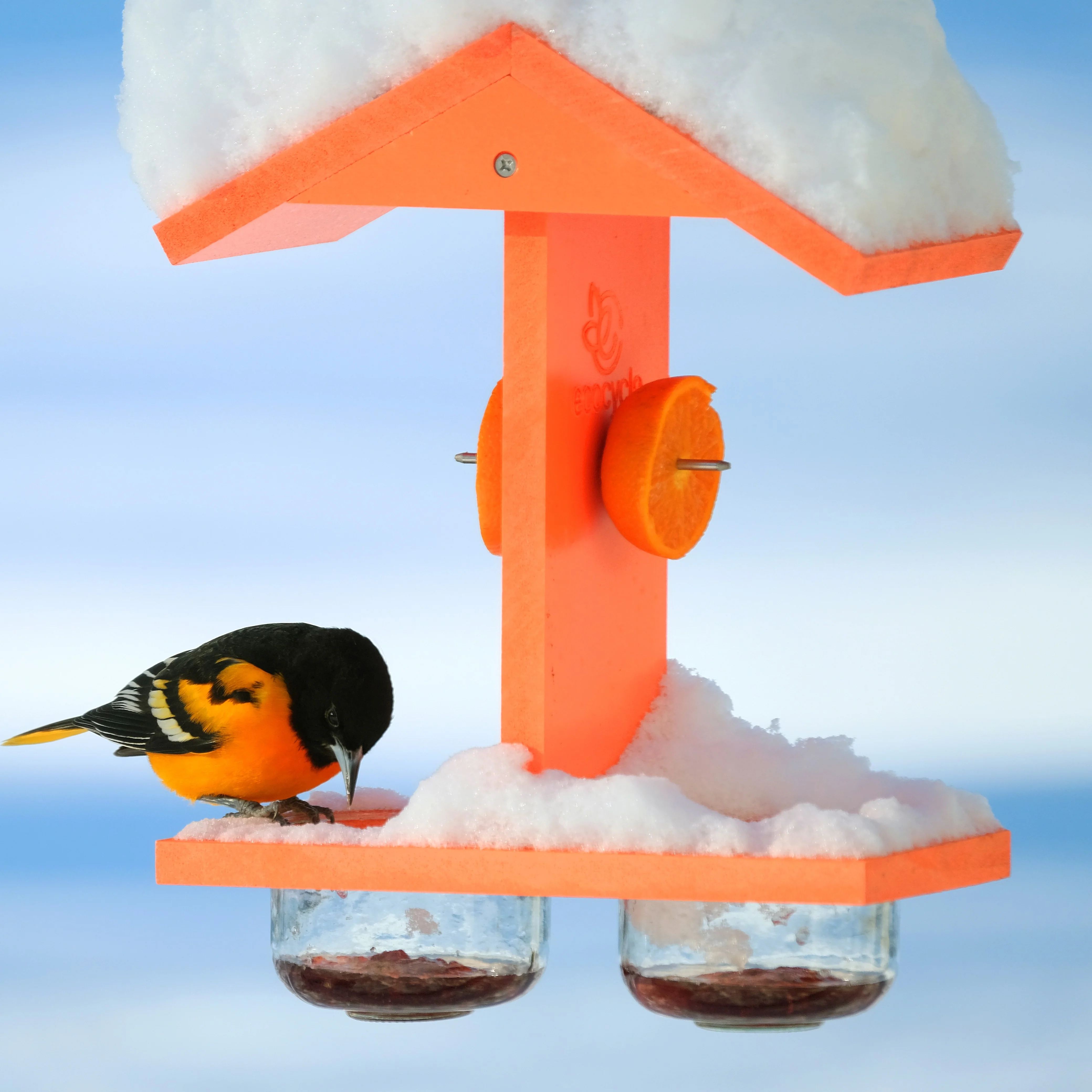 Citrus Sampler Recycled Plastic Orange and Jelly Oriole Bird Feeder - Image 8