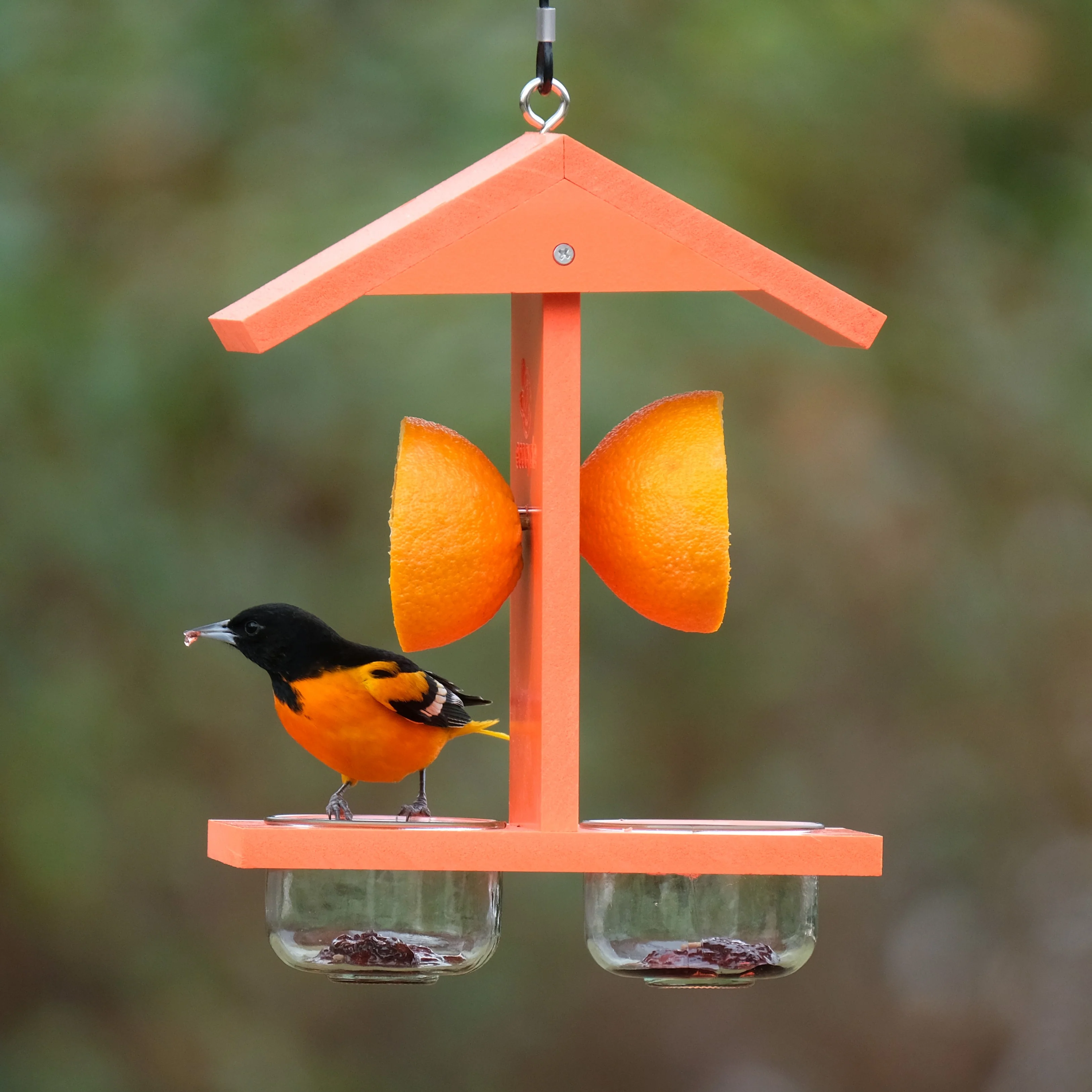 Citrus Sampler Recycled Plastic Orange and Jelly Oriole Bird Feeder - Image 9