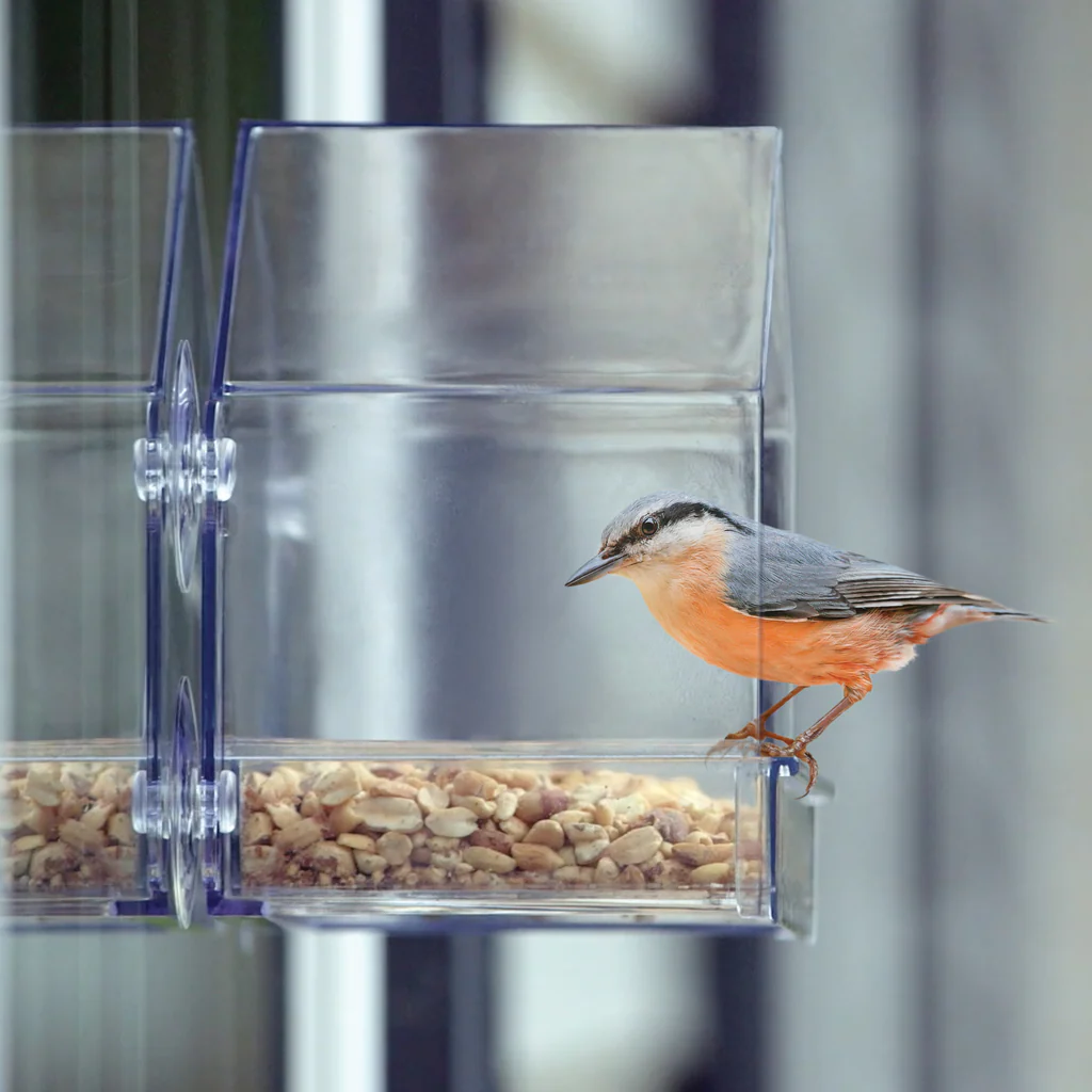 Clear View Window Feeder - Image 10