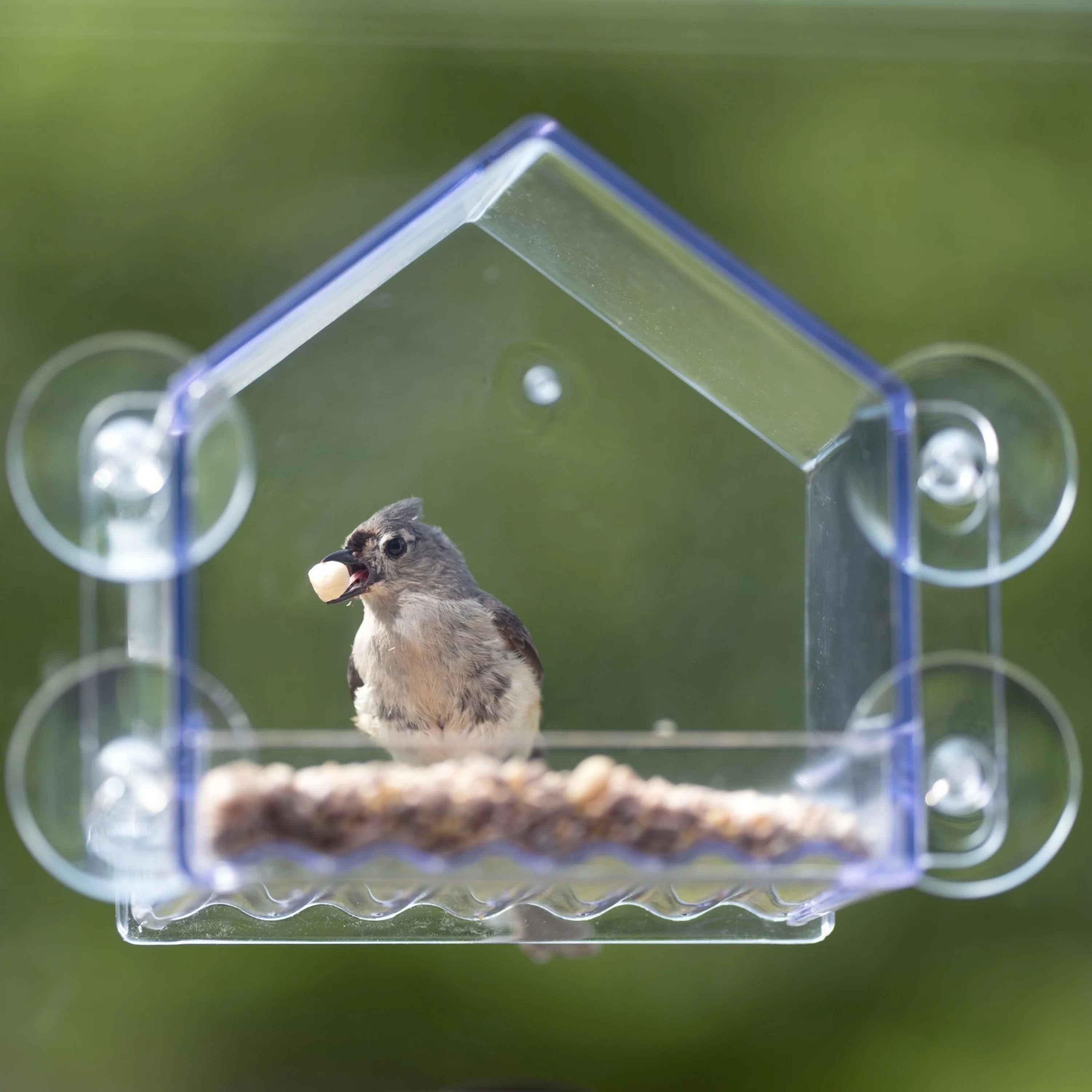 Clear View Window Feeder - Image 11