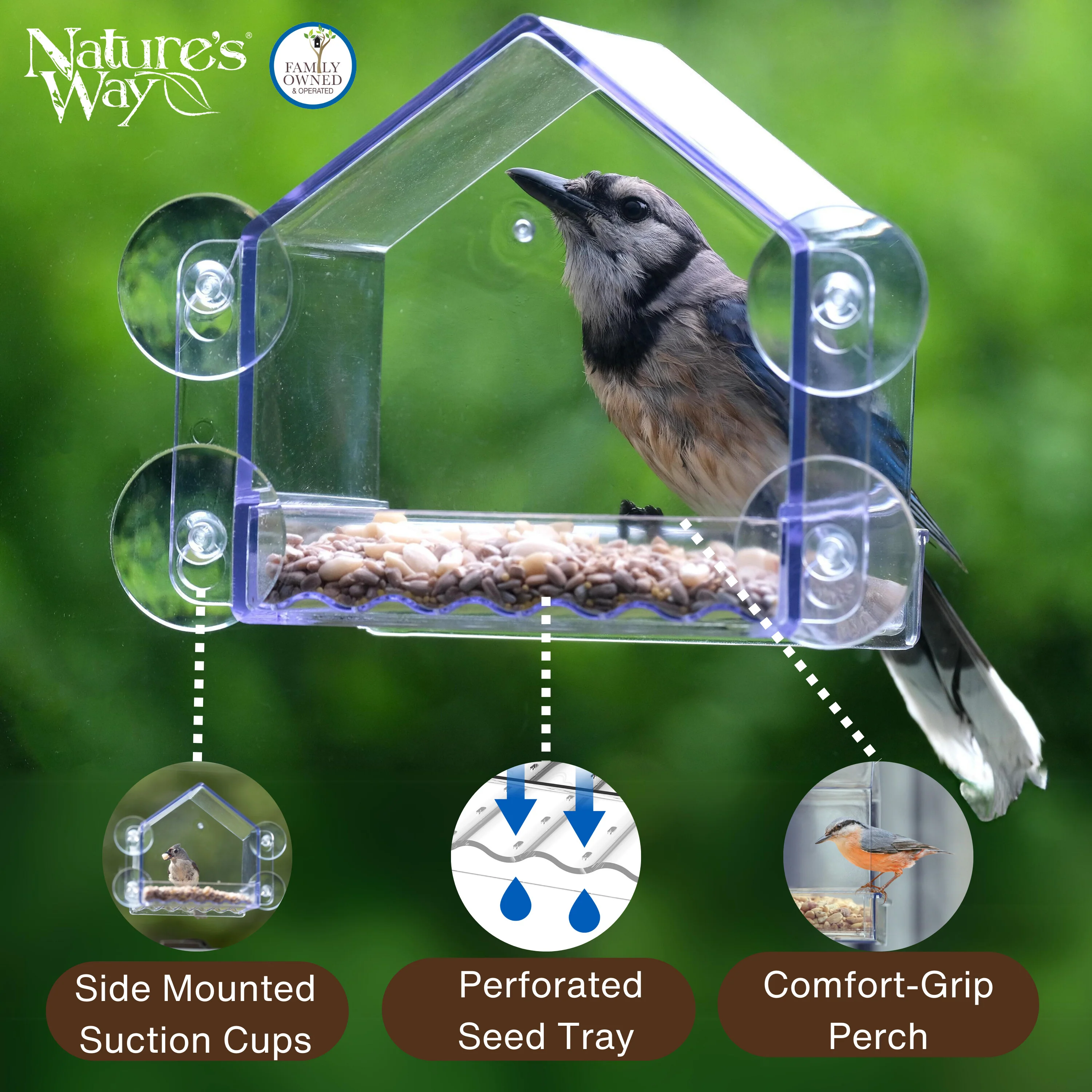 Clear View Window Feeder - Image 3
