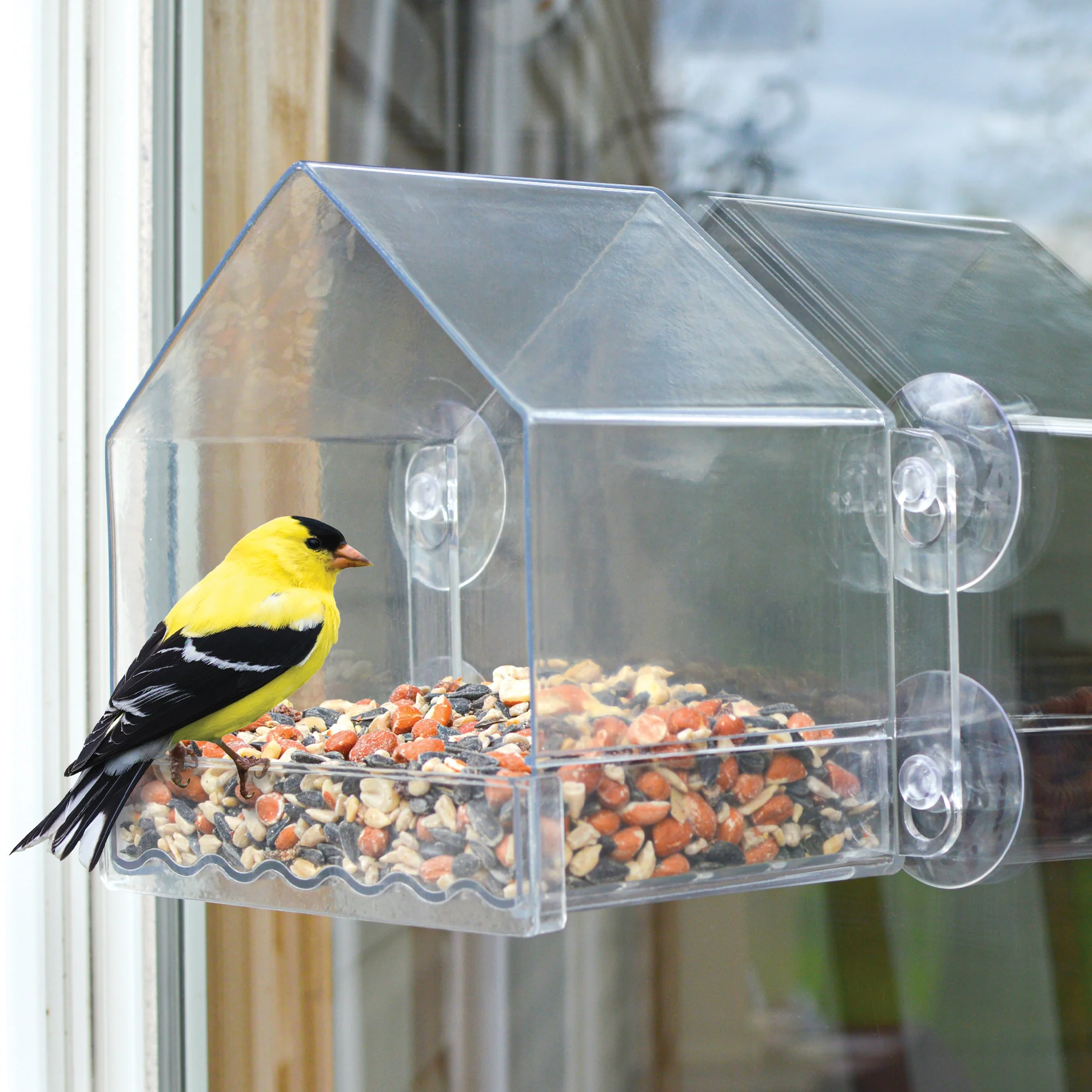 Clear View Window Feeder - Image 8