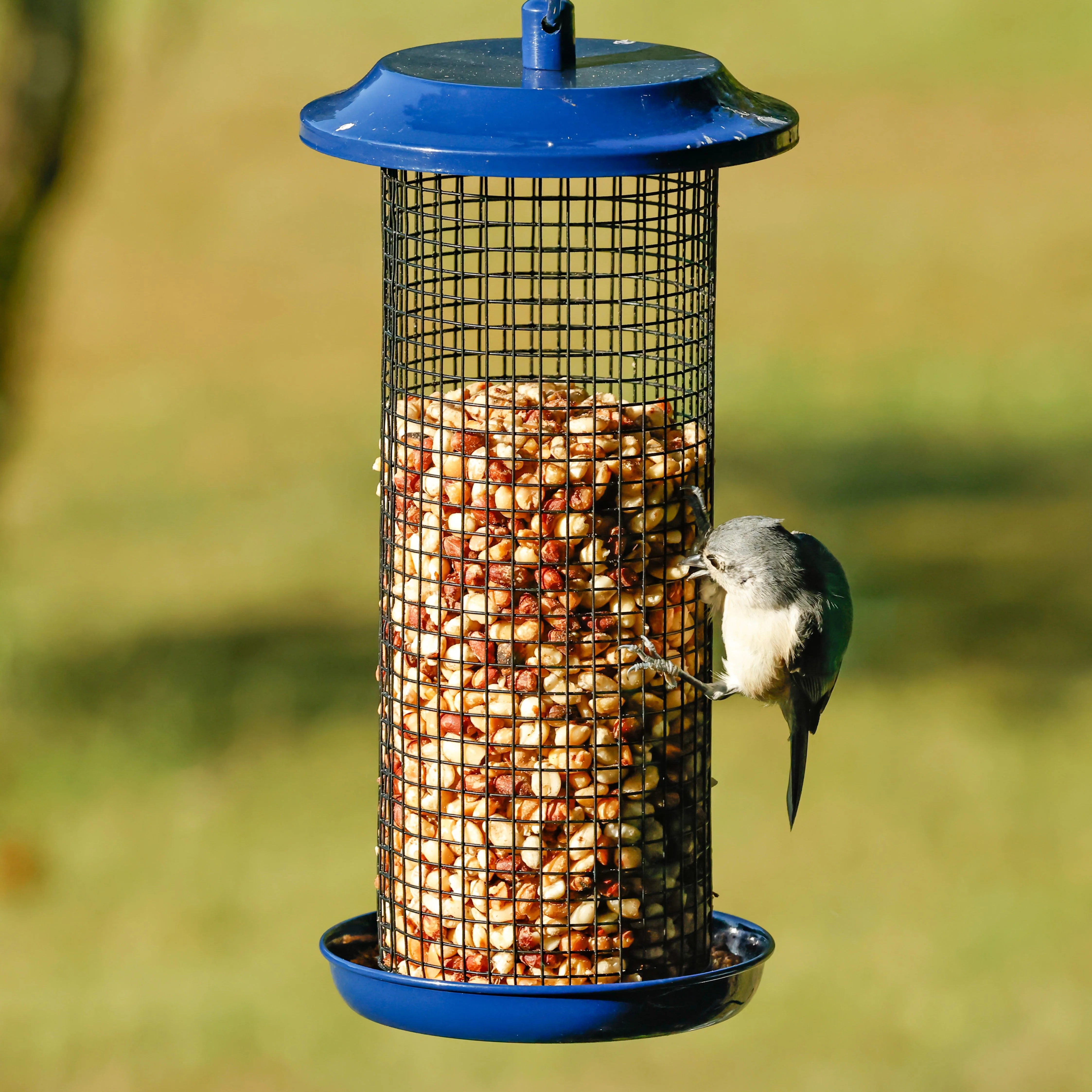 Cobalt Metal Mesh Mixed Seed and Peanut Bird Feeder - Image 8
