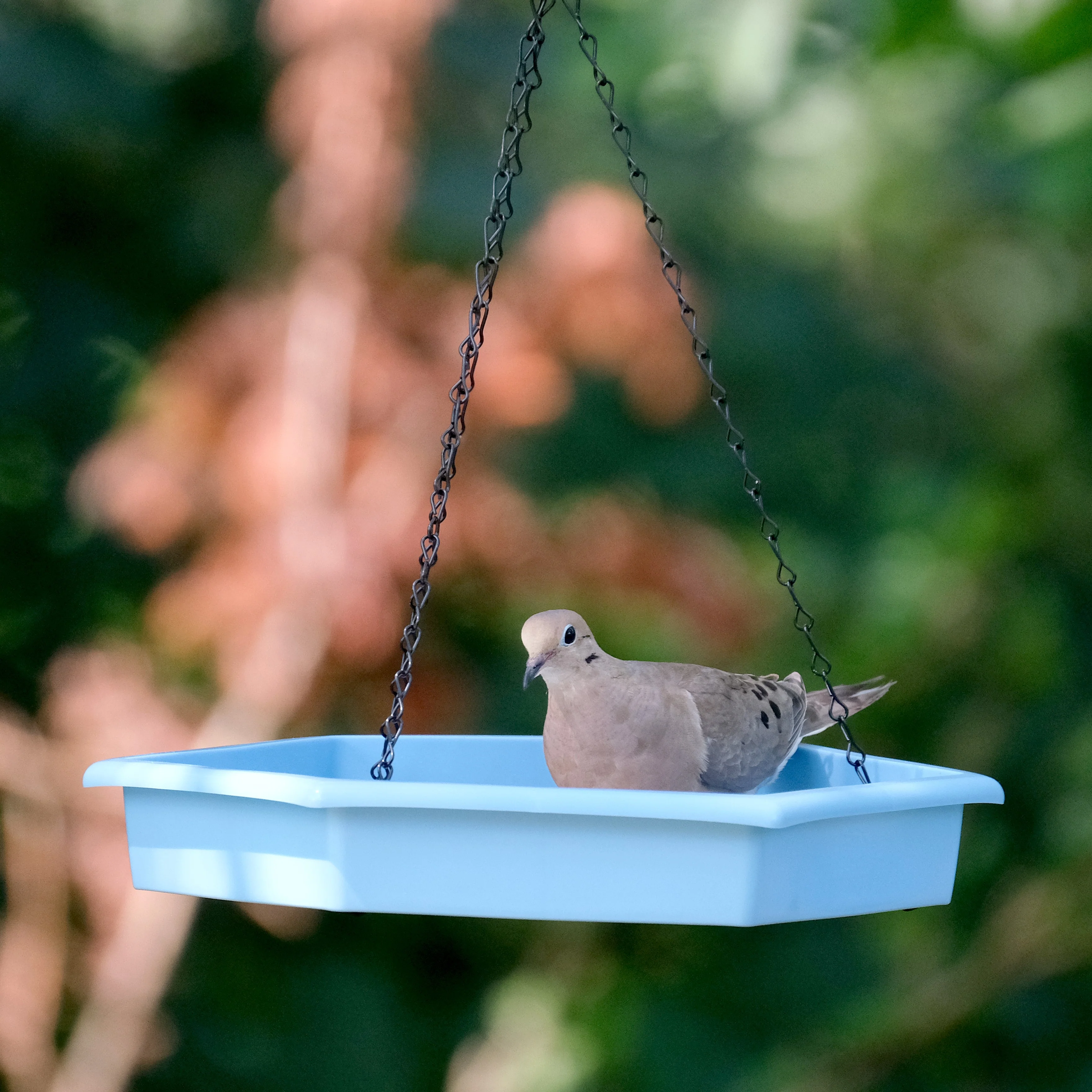 Combo Café 2-in-1 Recycled Plastic Bird Feeder and Bird Bath - Image 10