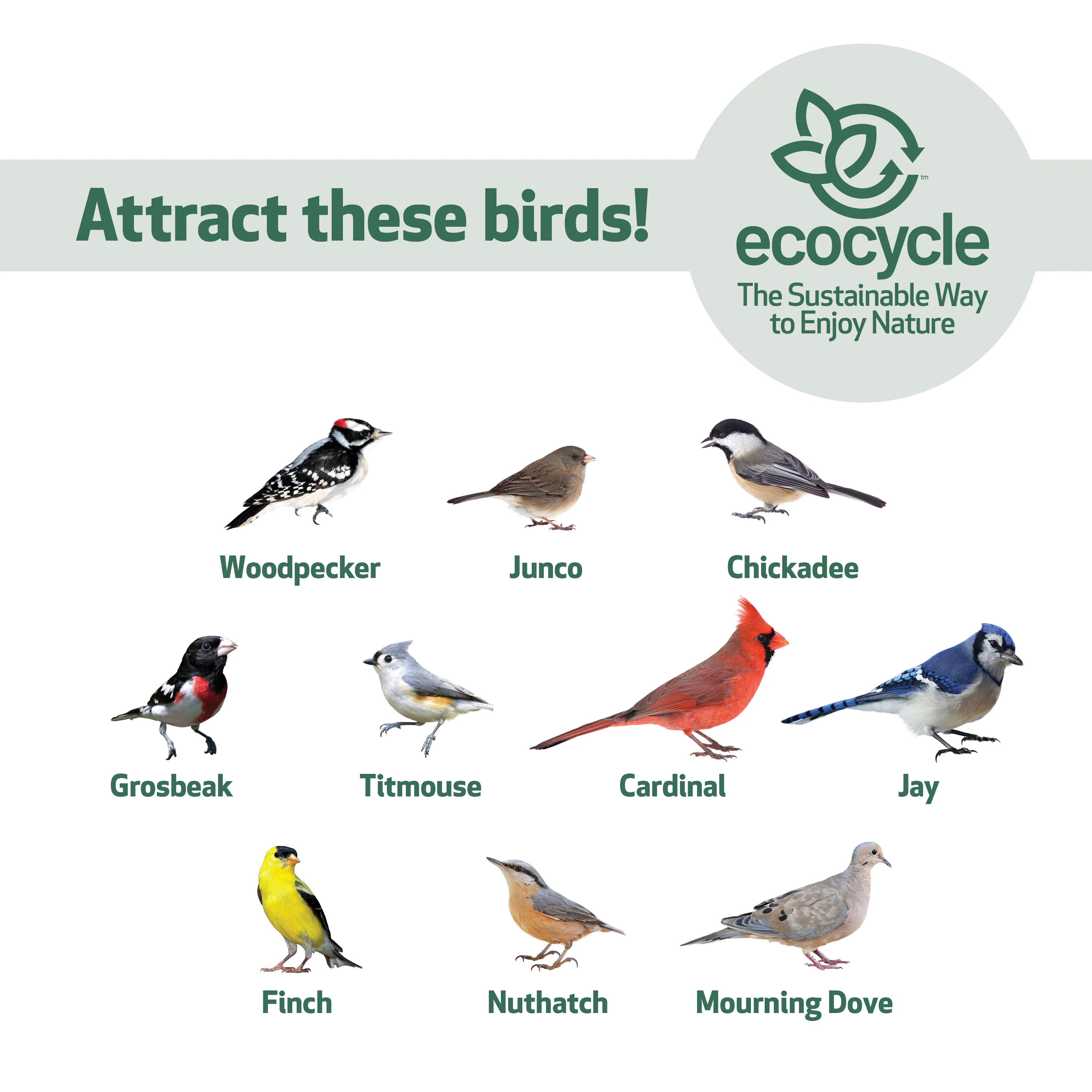 Combo Café 2-in-1 Recycled Plastic Bird Feeder and Bird Bath - Image 5