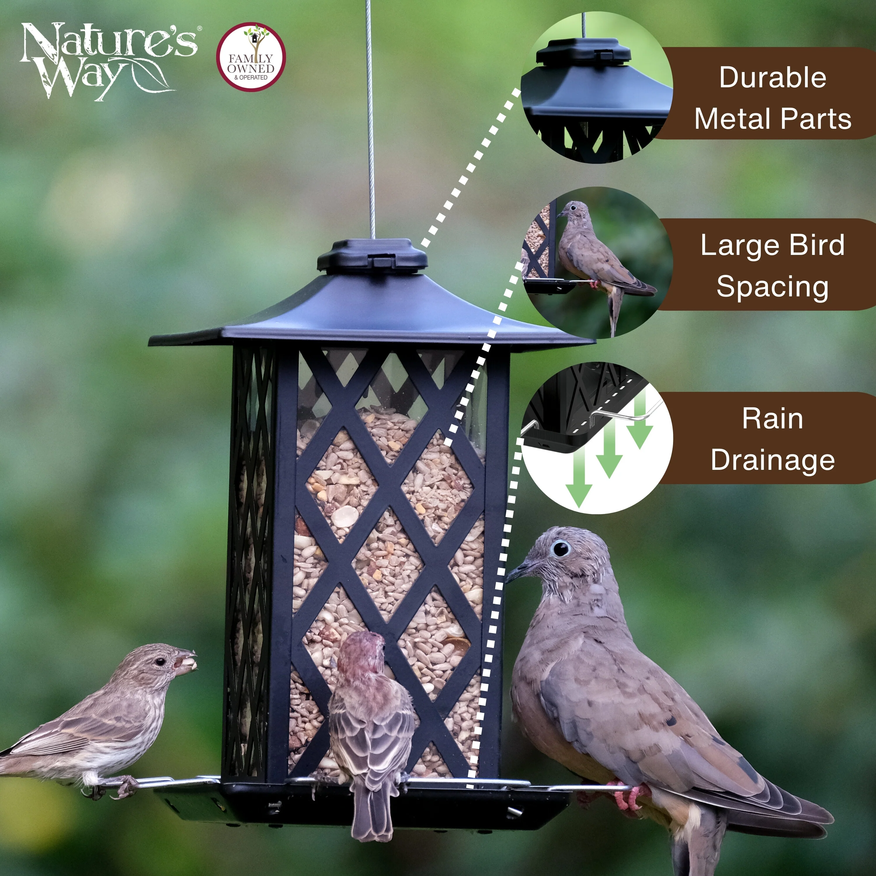 Contemporary Lantern Metal Gazebo Bird Feeder - Image 3