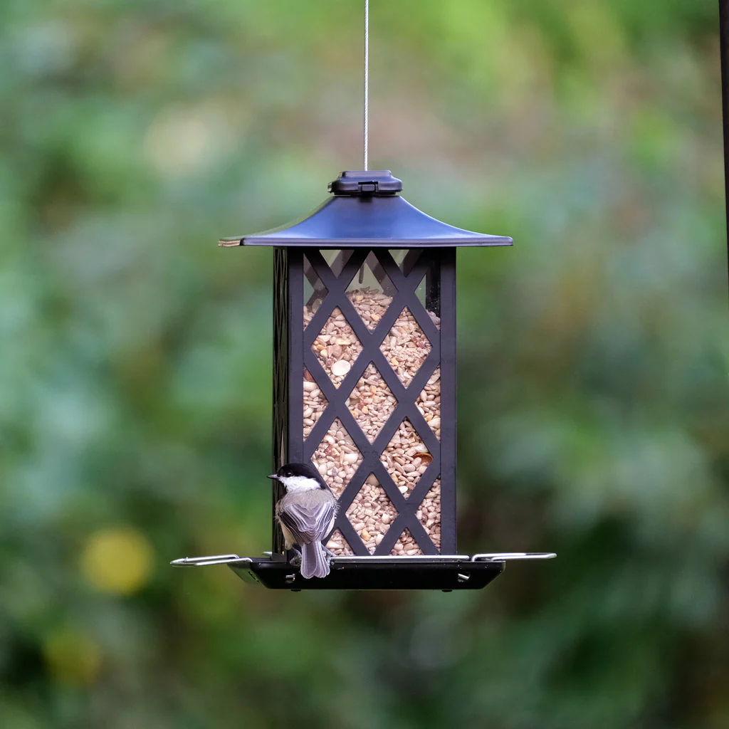 Contemporary Lantern Metal Gazebo Bird Feeder - Image 9